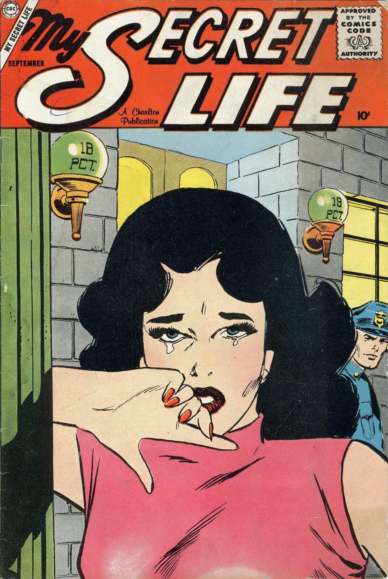 My Secret Life #25 cover