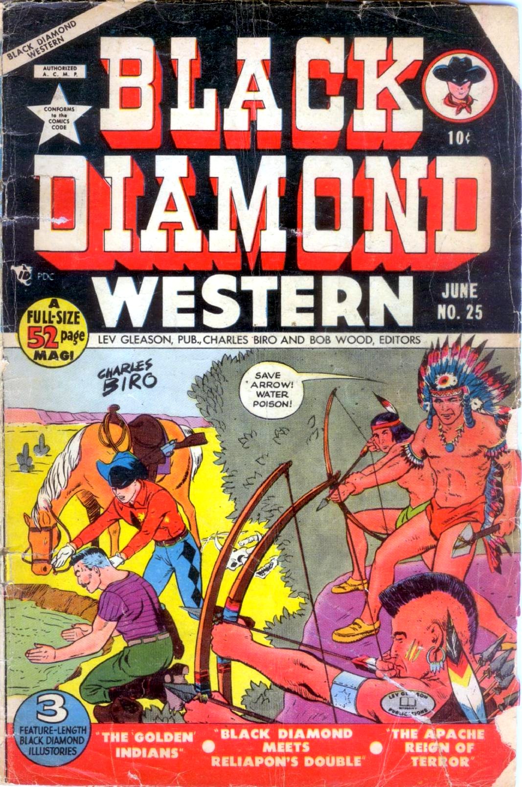 Black Diamond Western #25 cover
