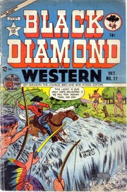 Black Diamond Western #27