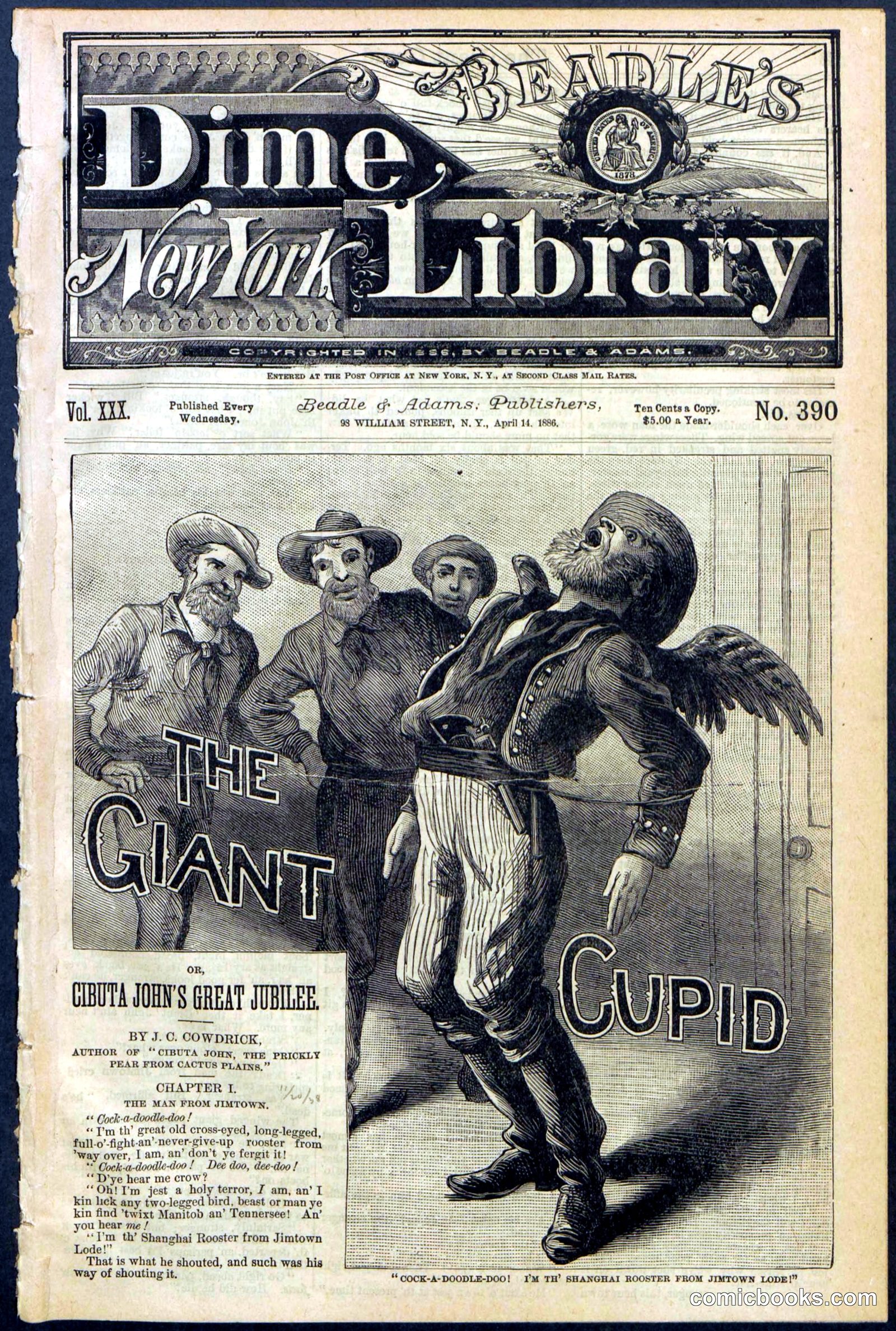 Beadle's New York Dime Library, No. 390