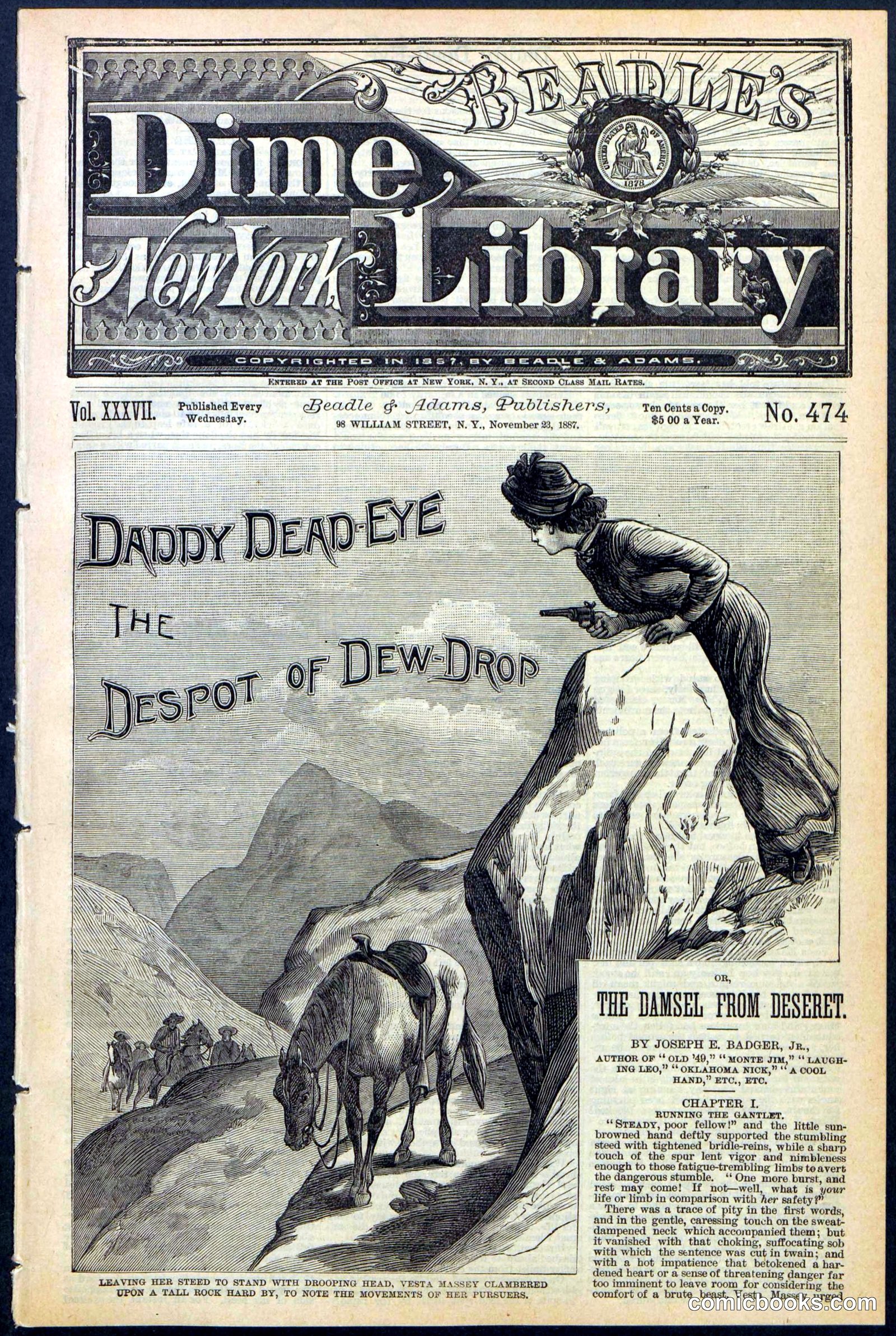 Beadle's New York Dime Library No. 474