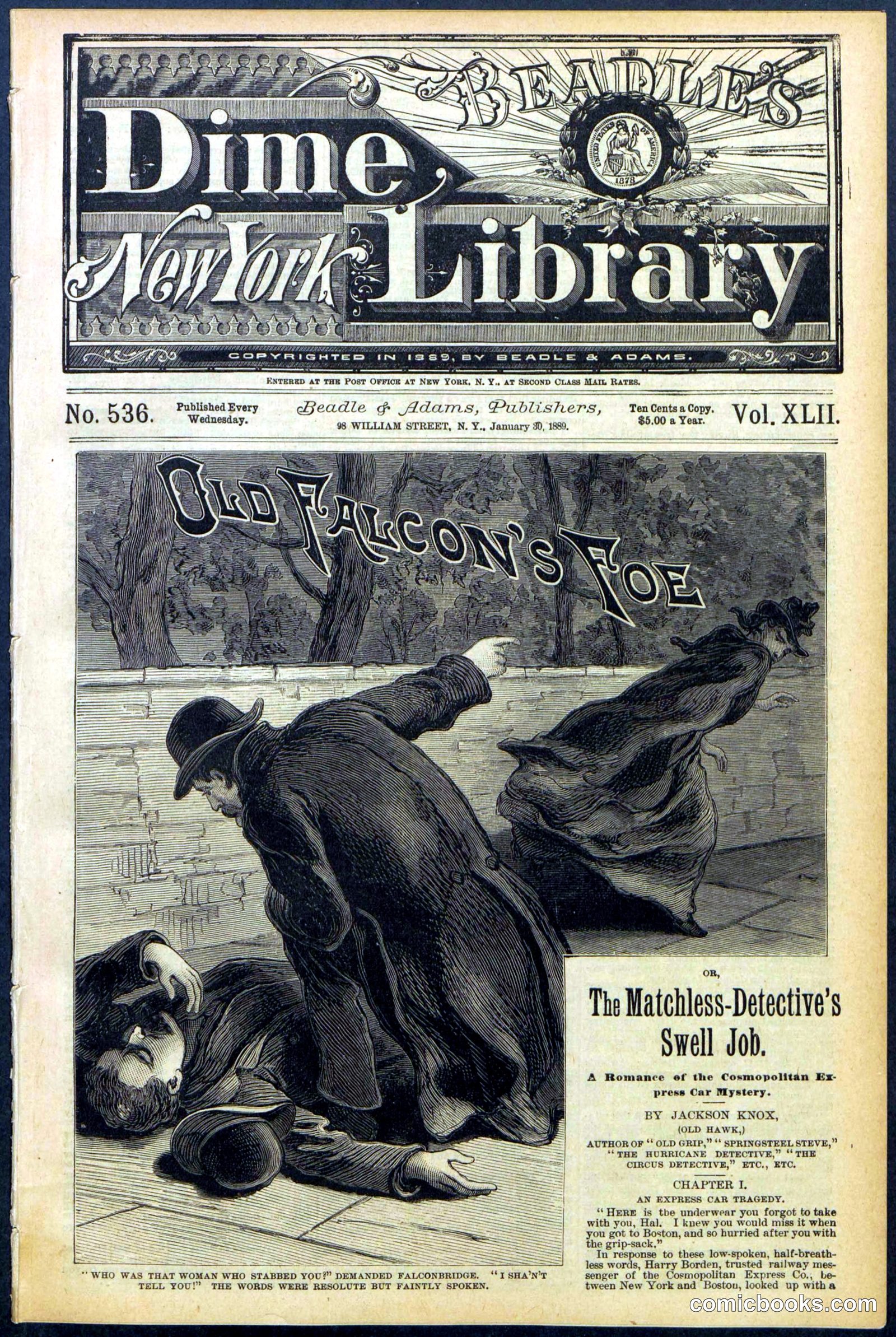 Beadle's New York Dime Library No. 536