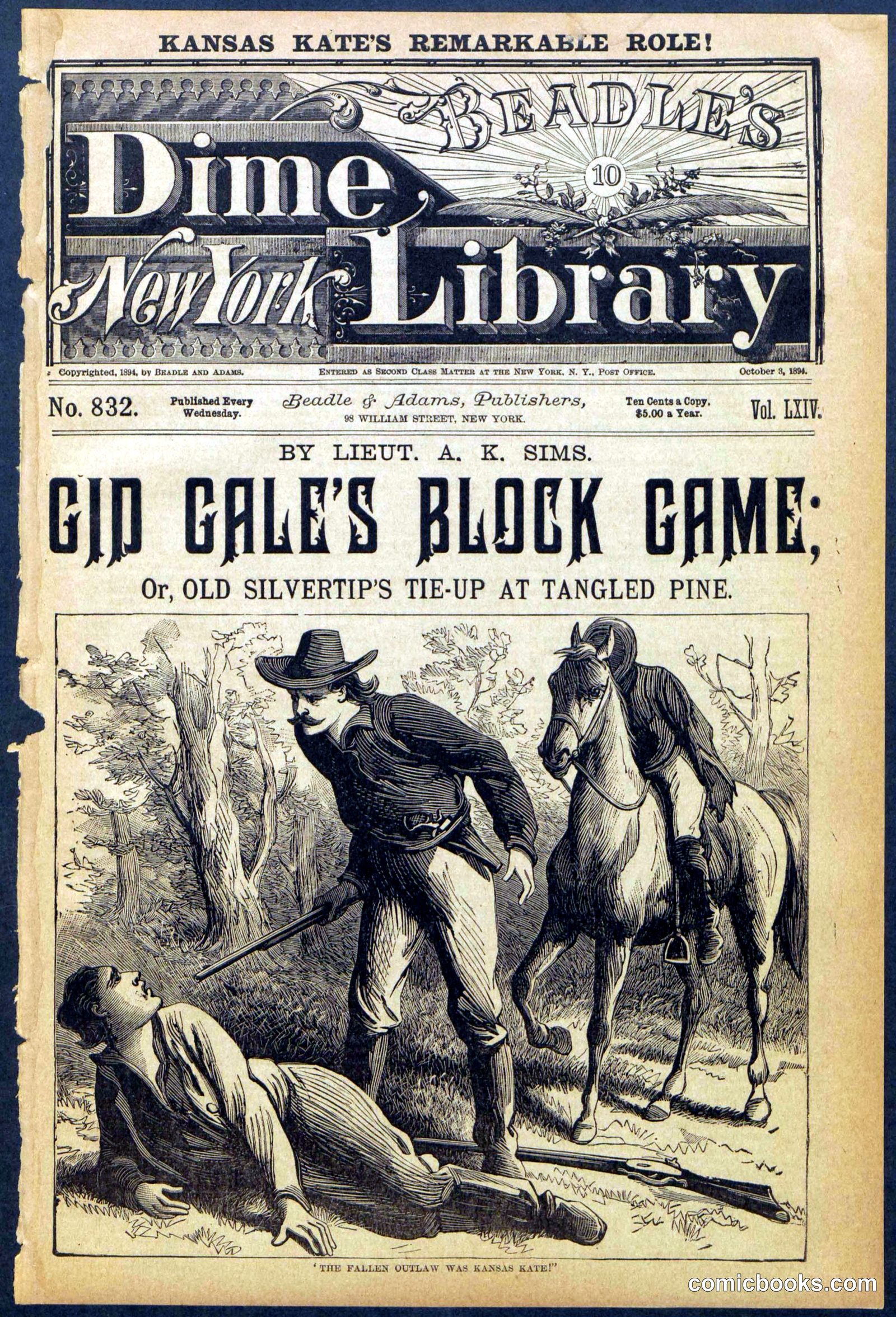Beadle's New York Dime Library No. 832