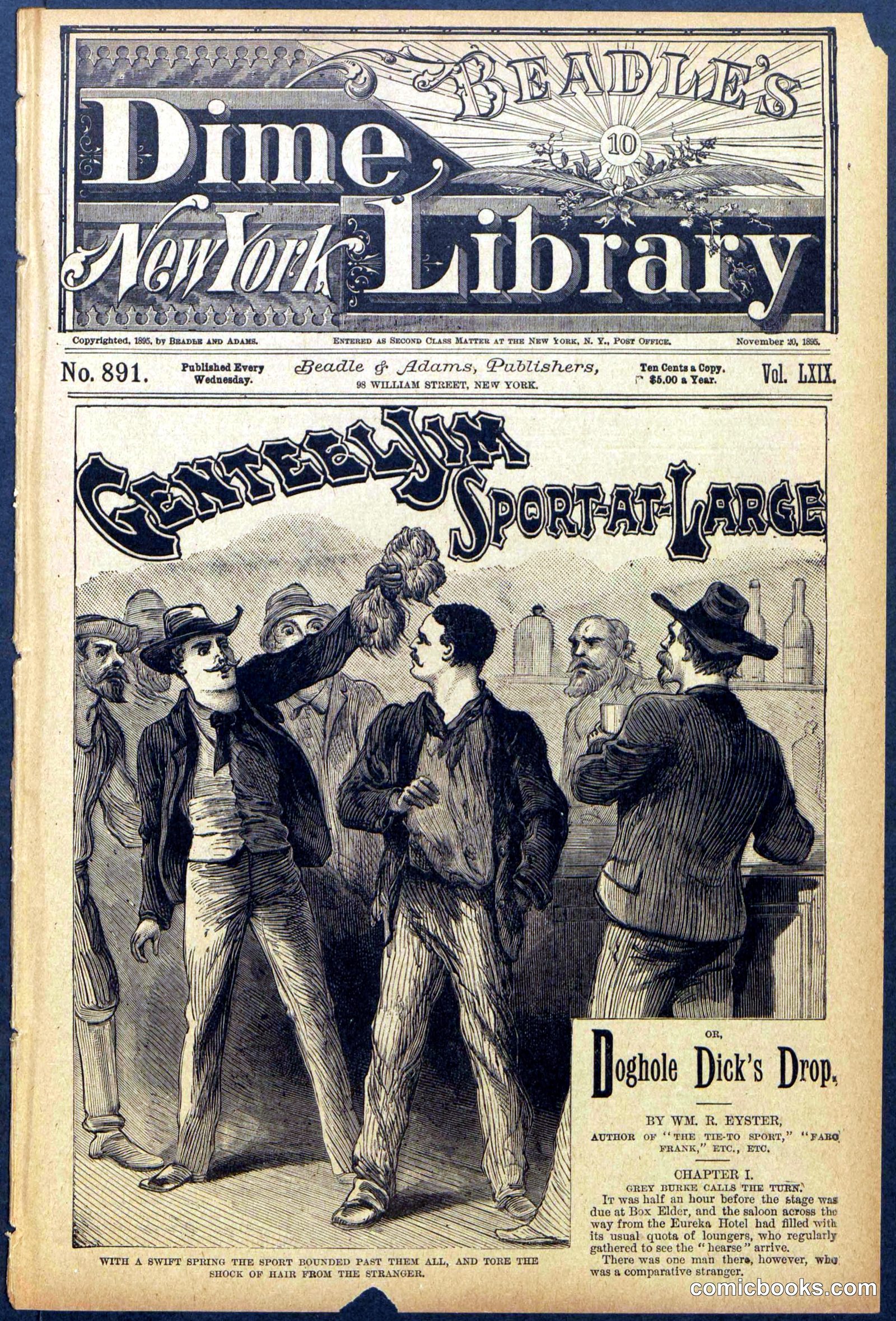 Beadle's Dime Library No. 891