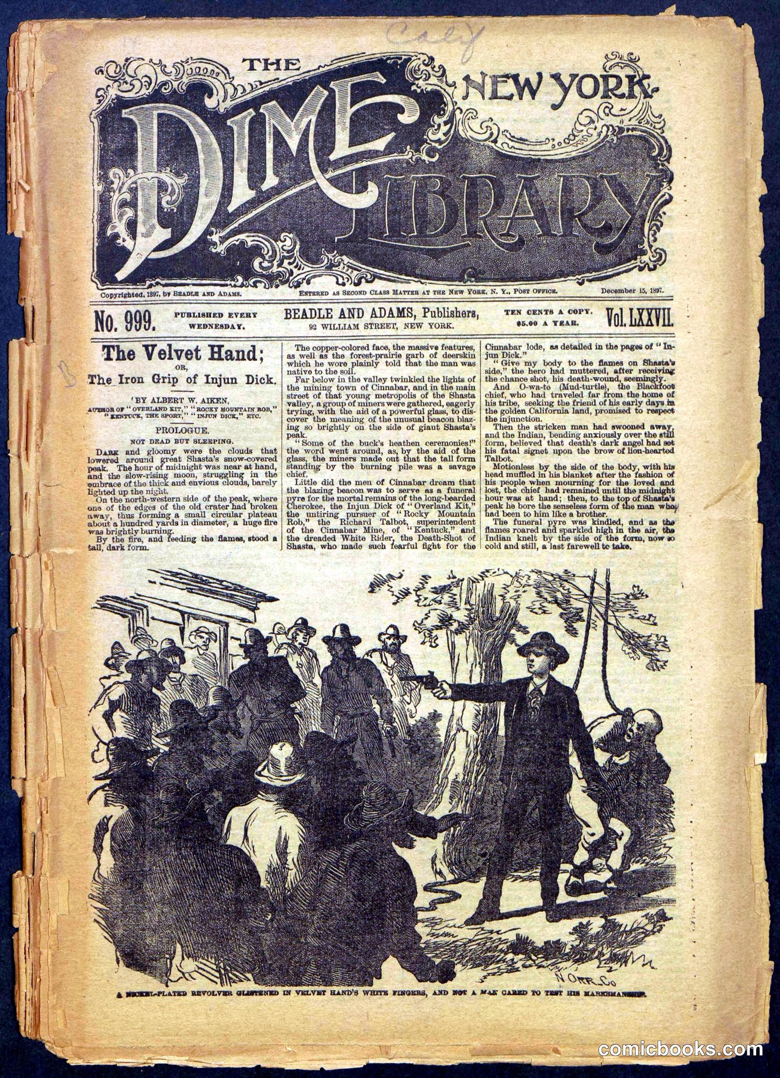 Beadle's New York Dime Library, No. 999