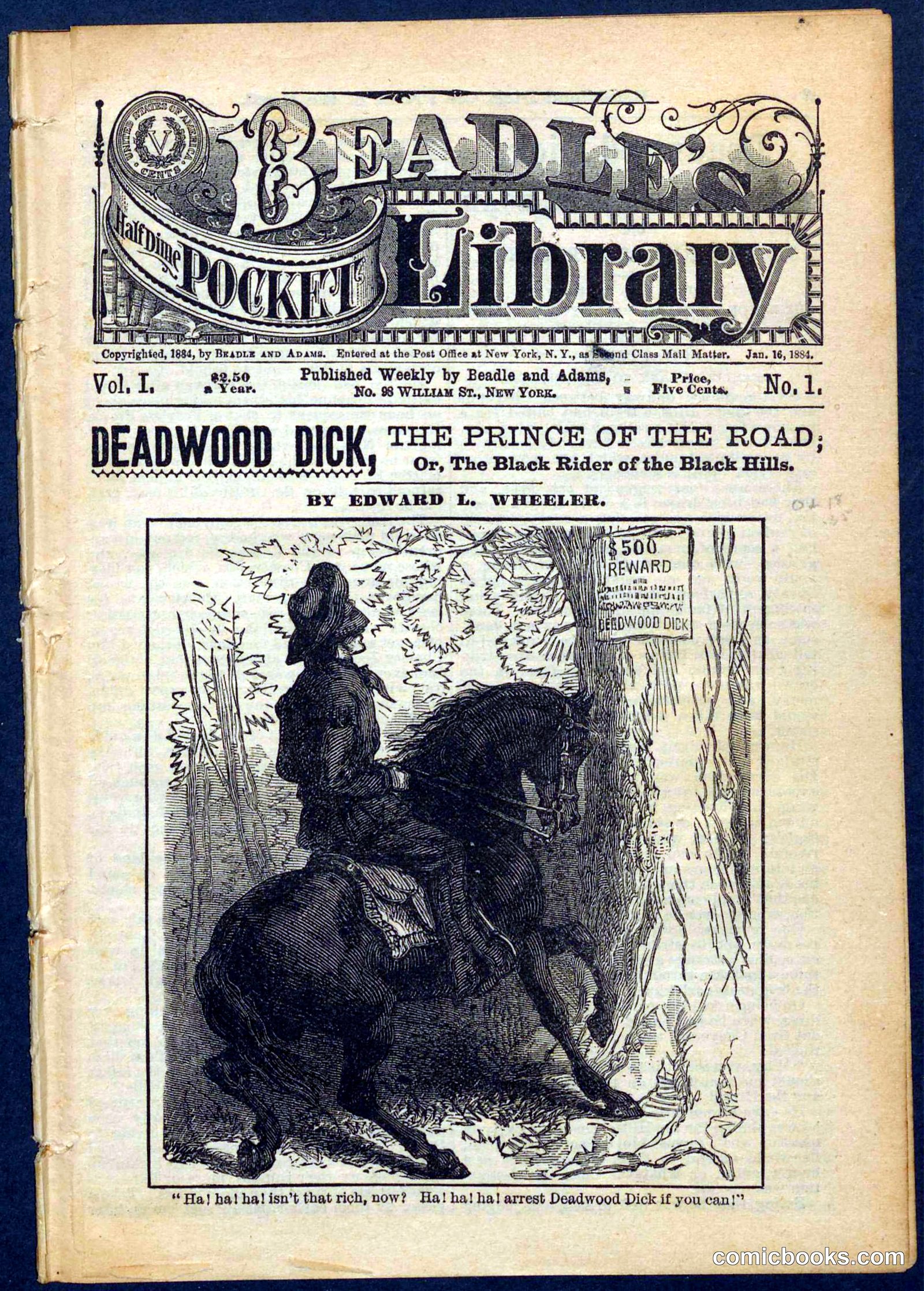 Beadle's Pocket Library