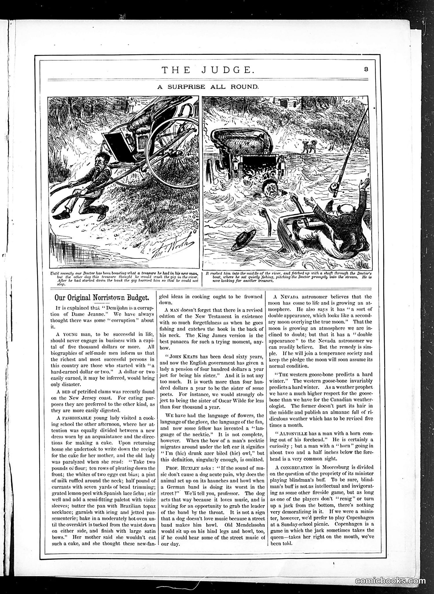Judge — October 29, 1881 — page 3