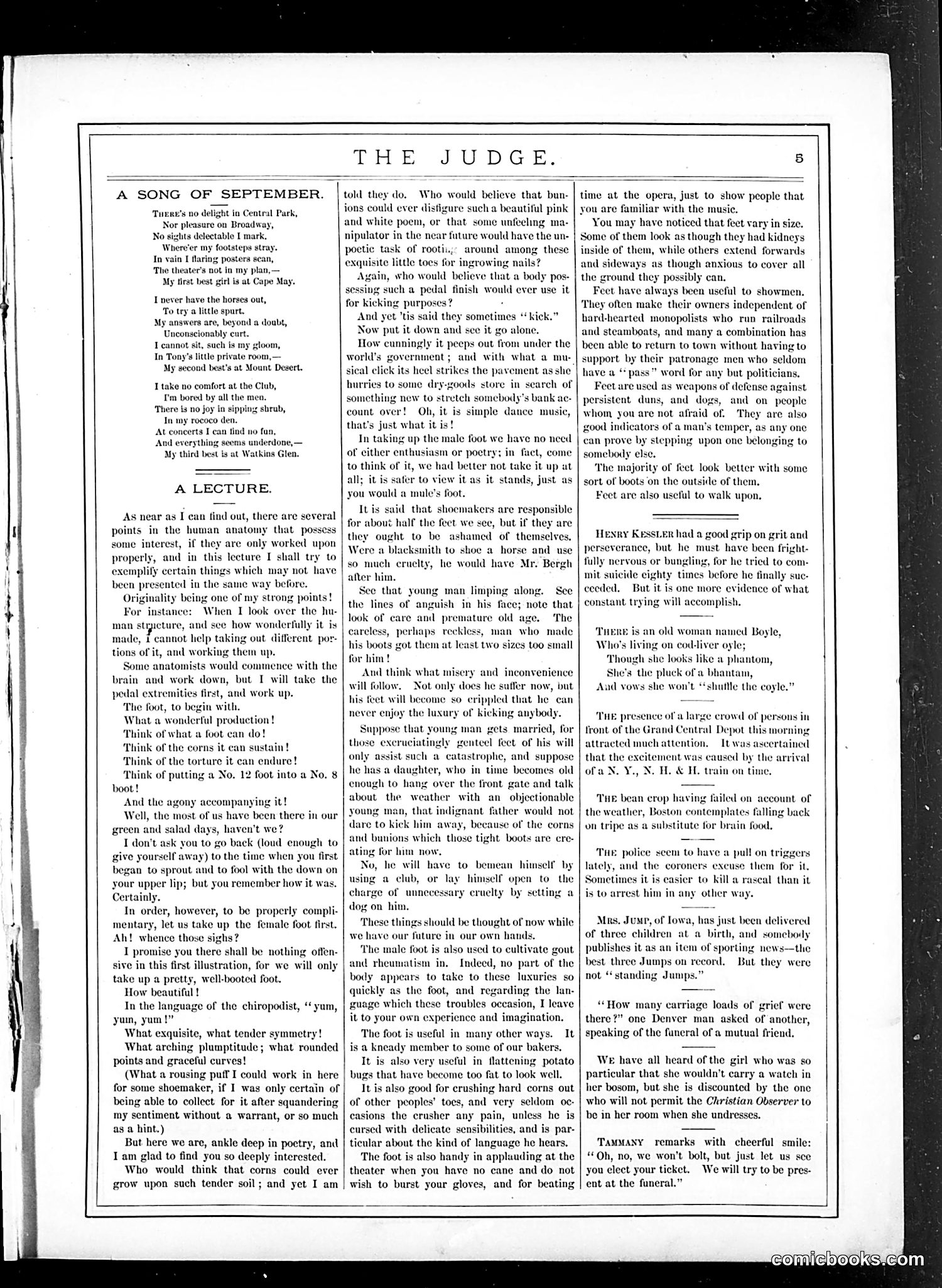 Judge — October 29, 1881 — page 5