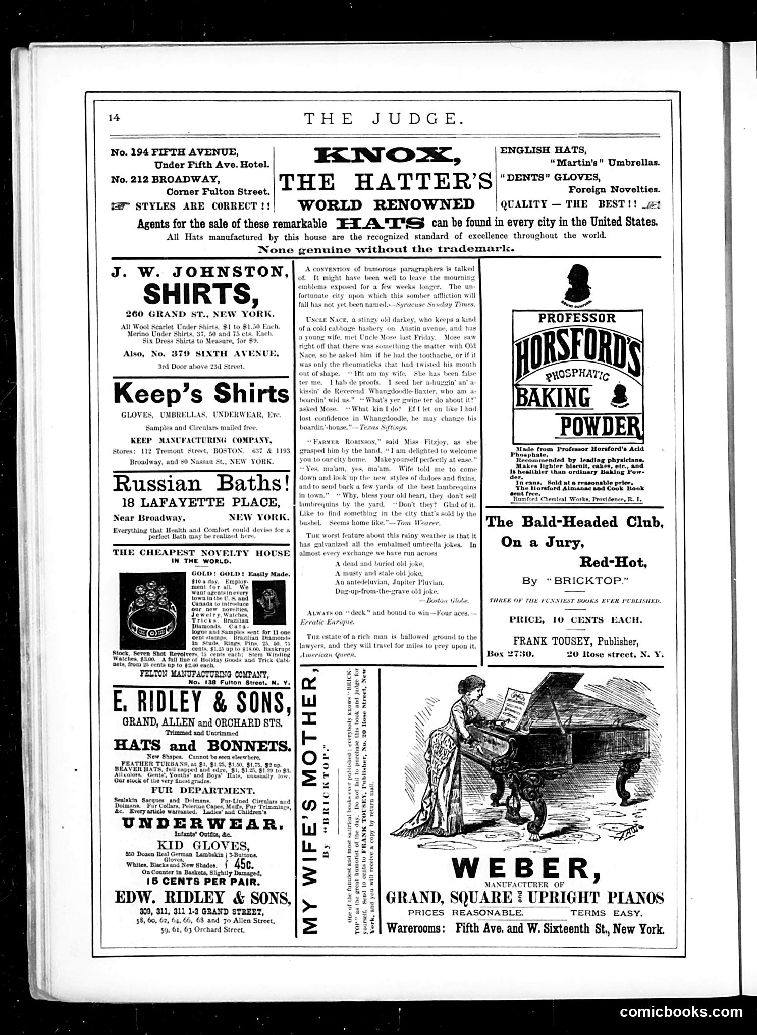 Judge — November 19, 1881 — page 14