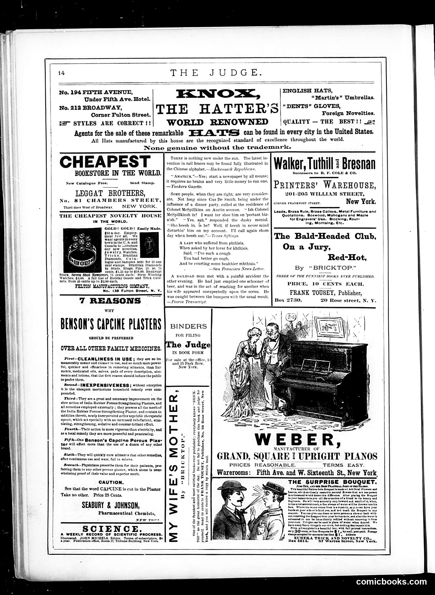 Judge — December 3, 1881 — page 14