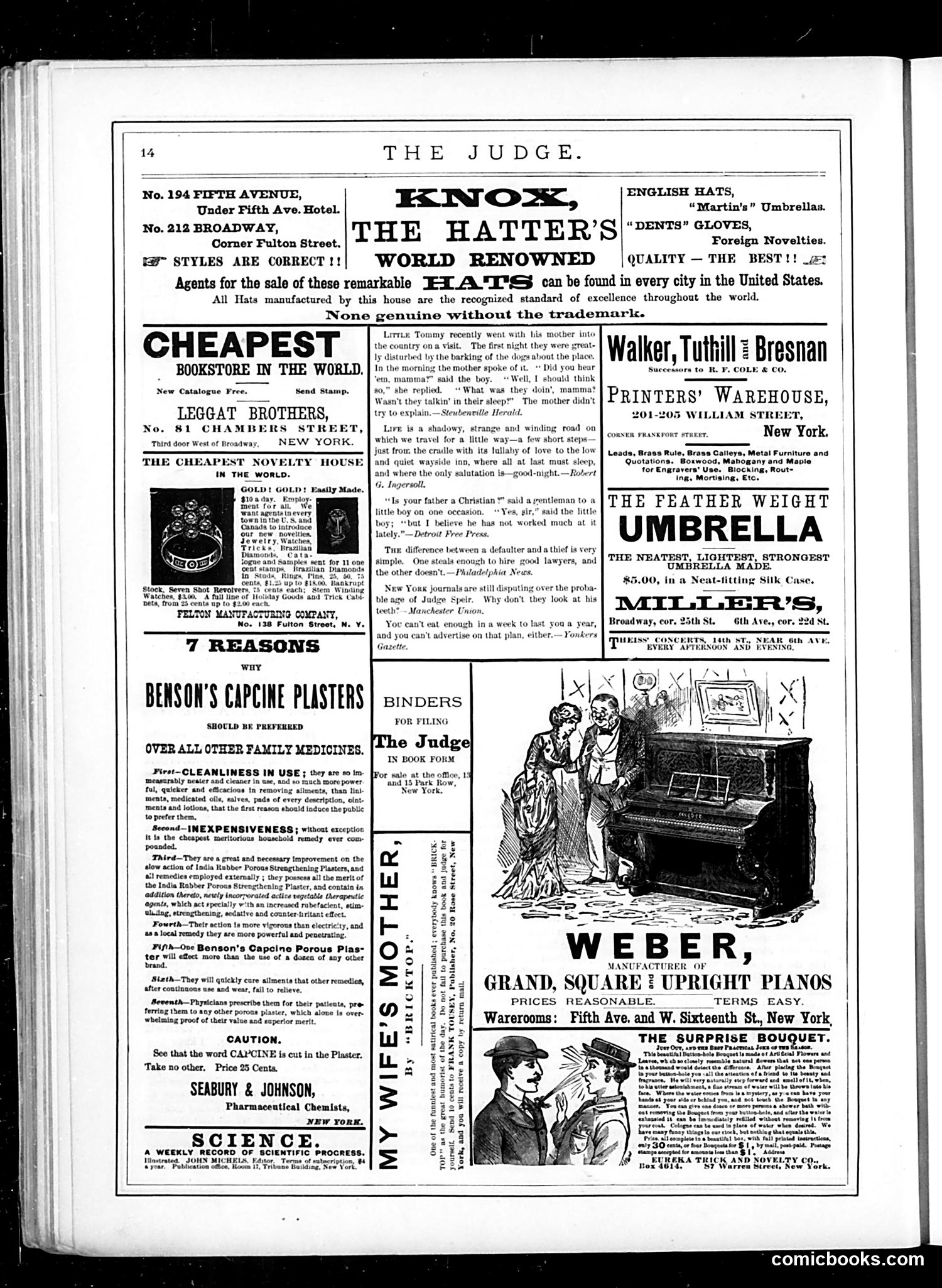 Judge — December 10, 1881 — page 14