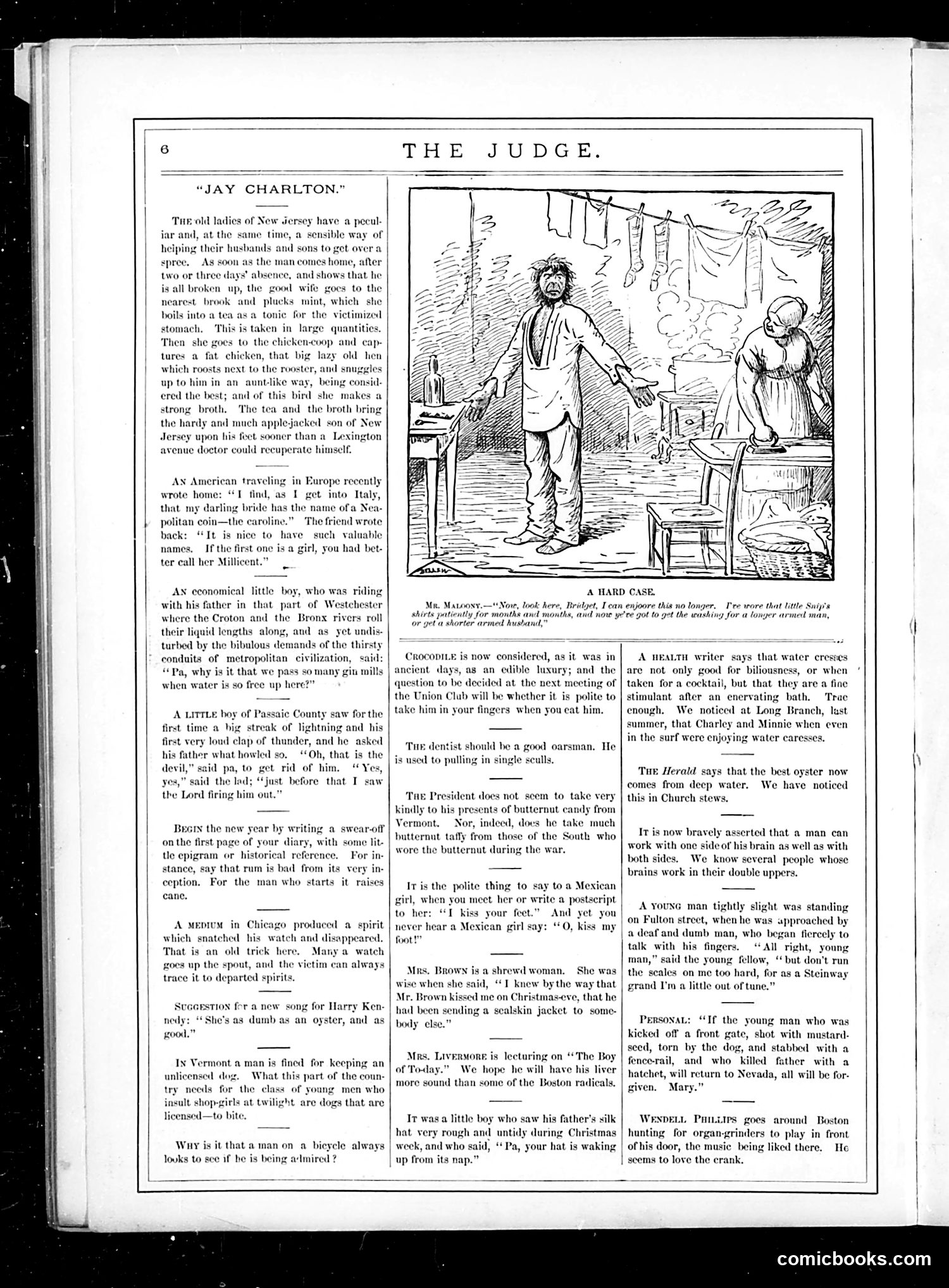 Judge — January 7, 1882 — page 8