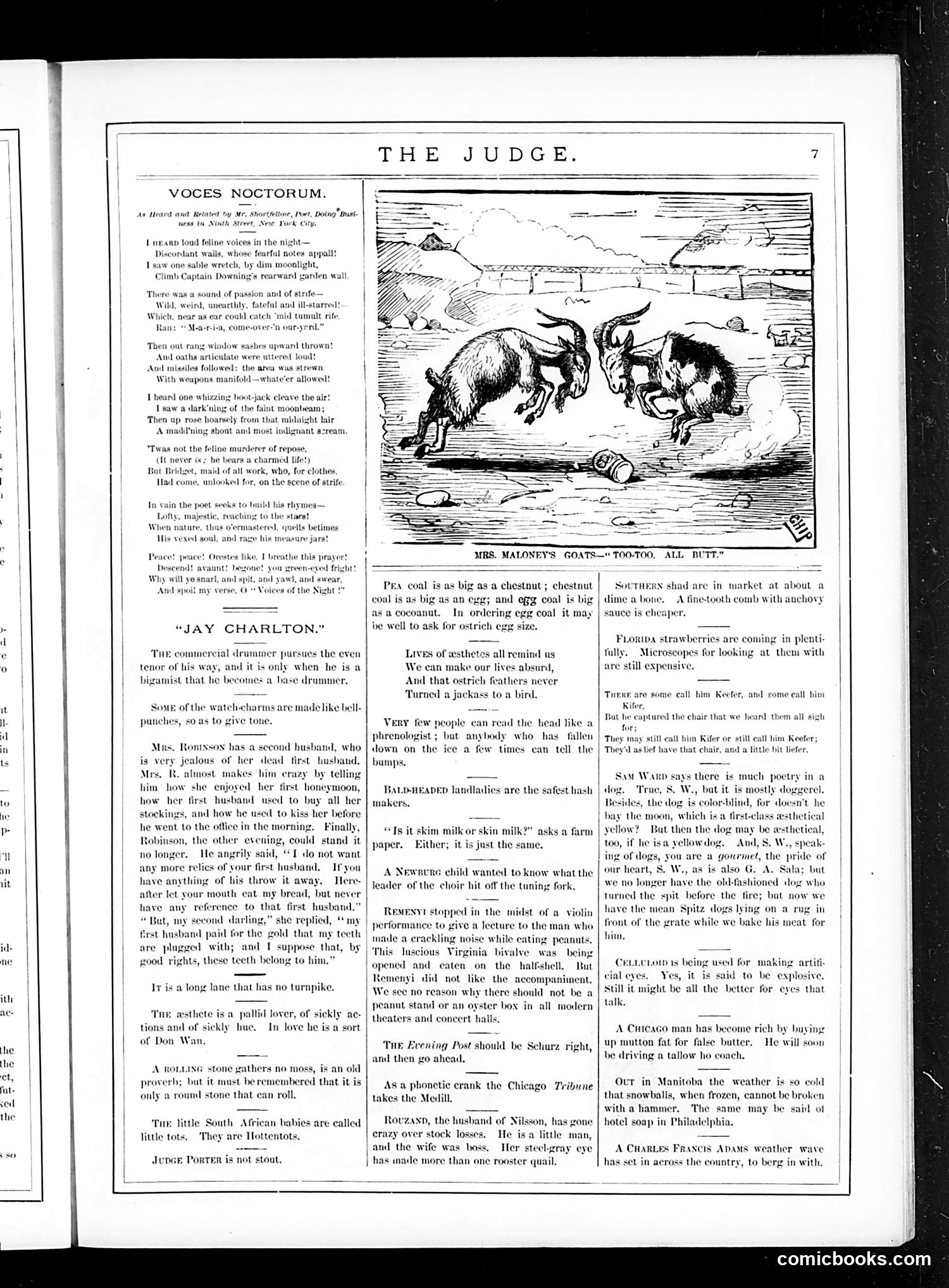 Judge — February 11, 1882 — page 7