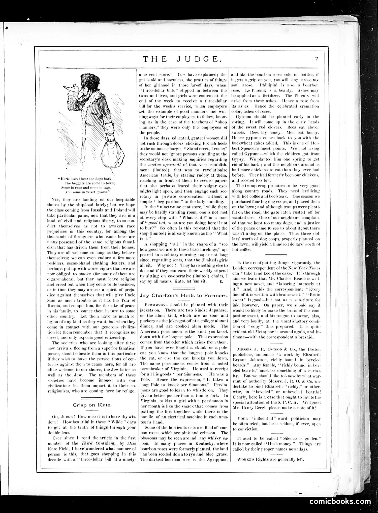 Judge — March 11, 1882 — page 7