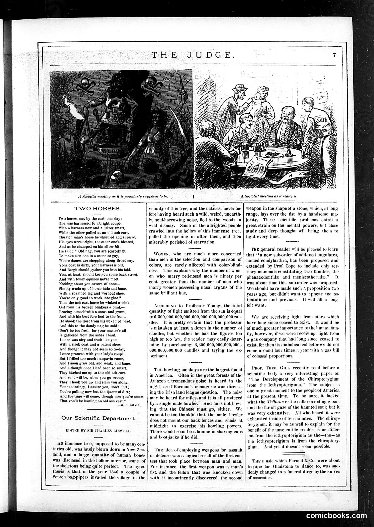 Judge — May 20, 1882 — page 7
