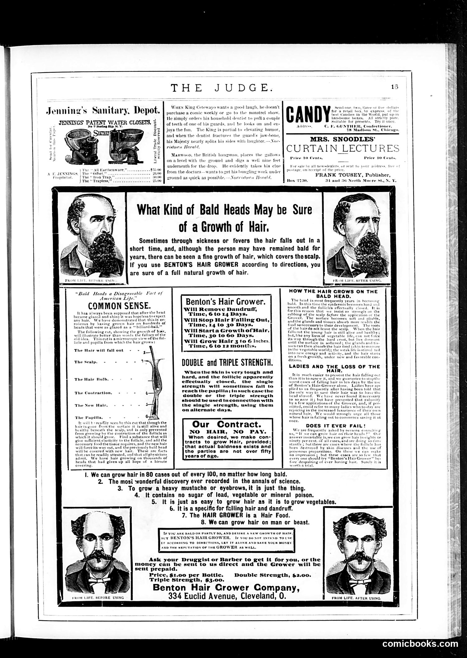Judge — June 10, 1882 — page 15