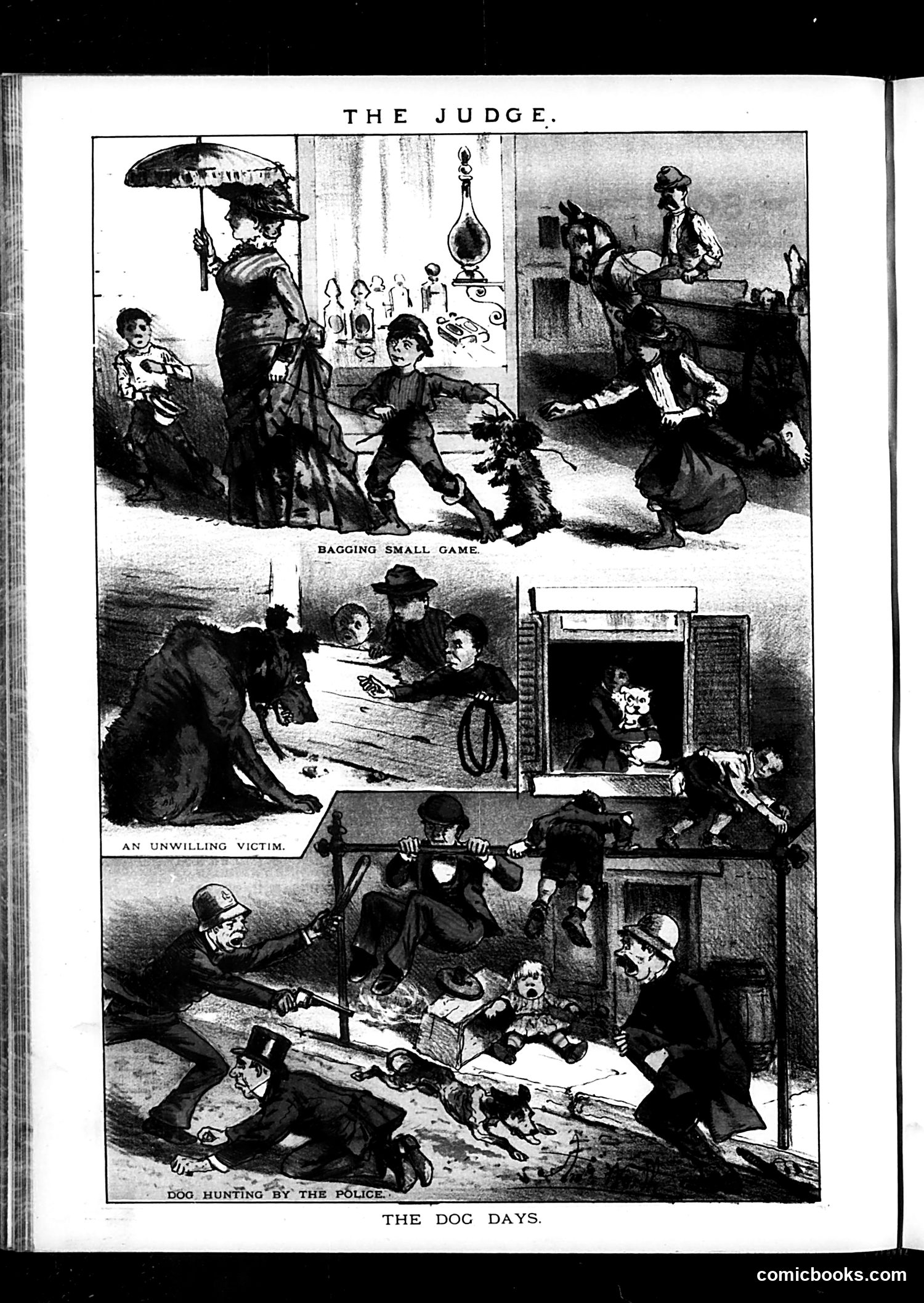 Judge — June 24, 1882 — page 16