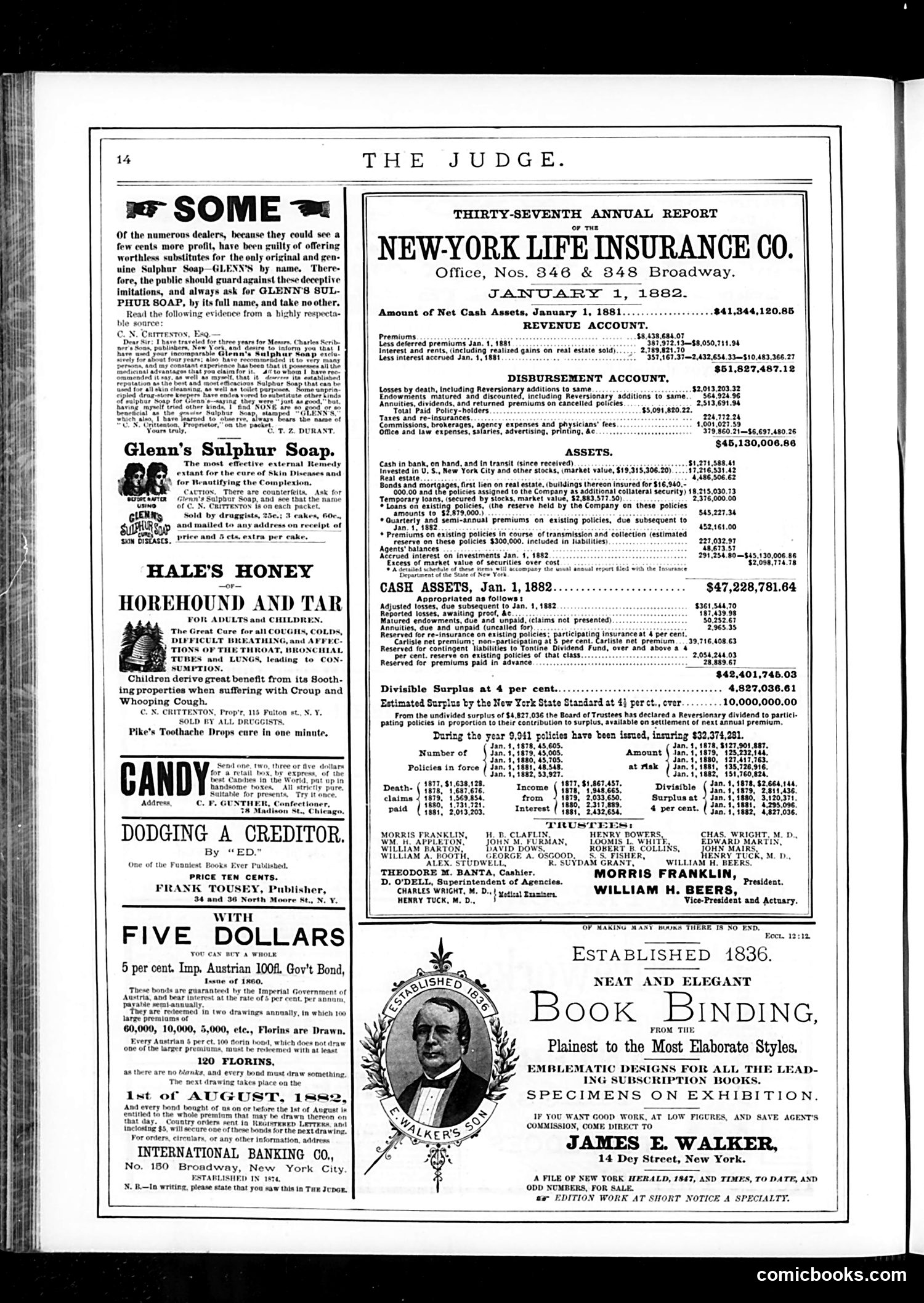 Judge — July 8, 1882 — page 14
