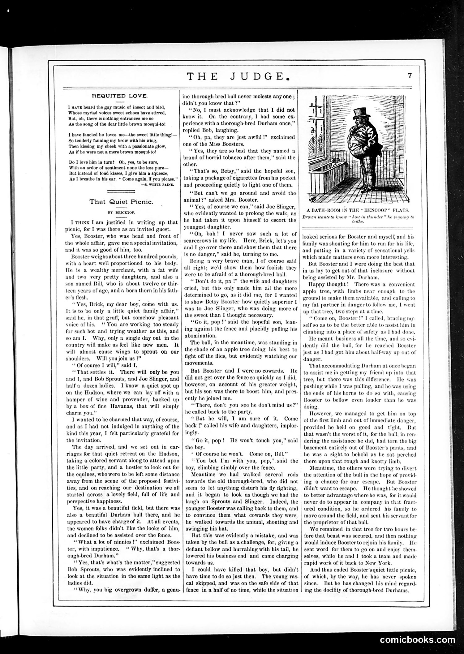 Judge — July 22, 1882 — page 7