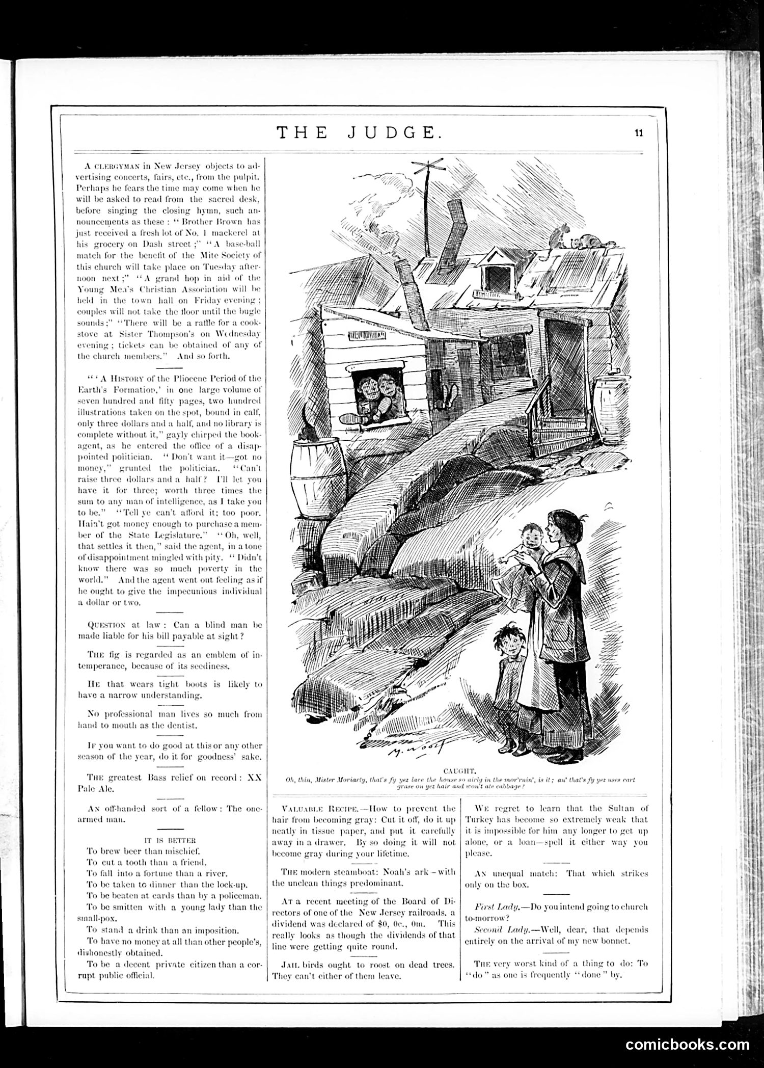 Judge — November 11, 1882 — page 11