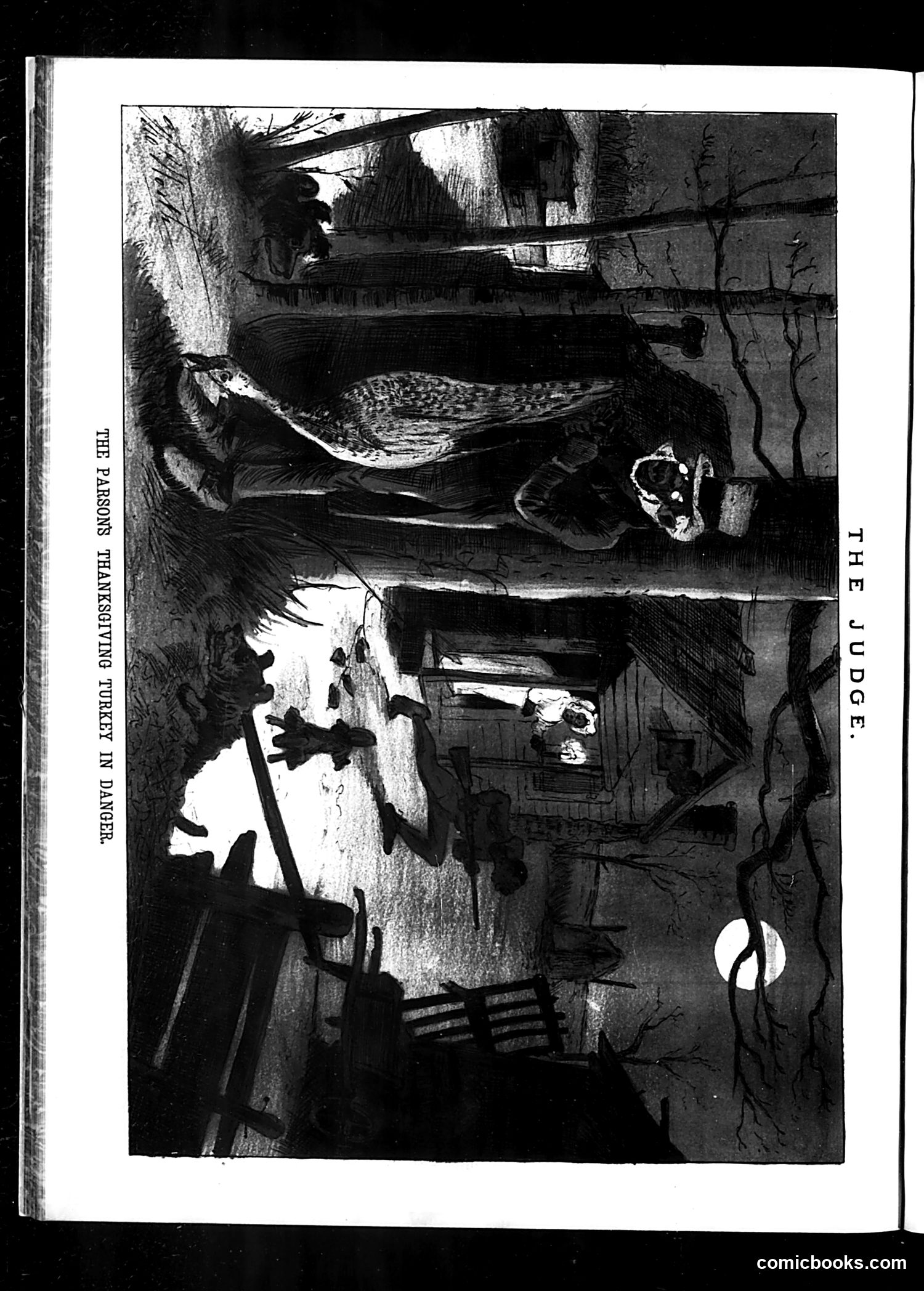 Judge — December 2, 1882 — page 20