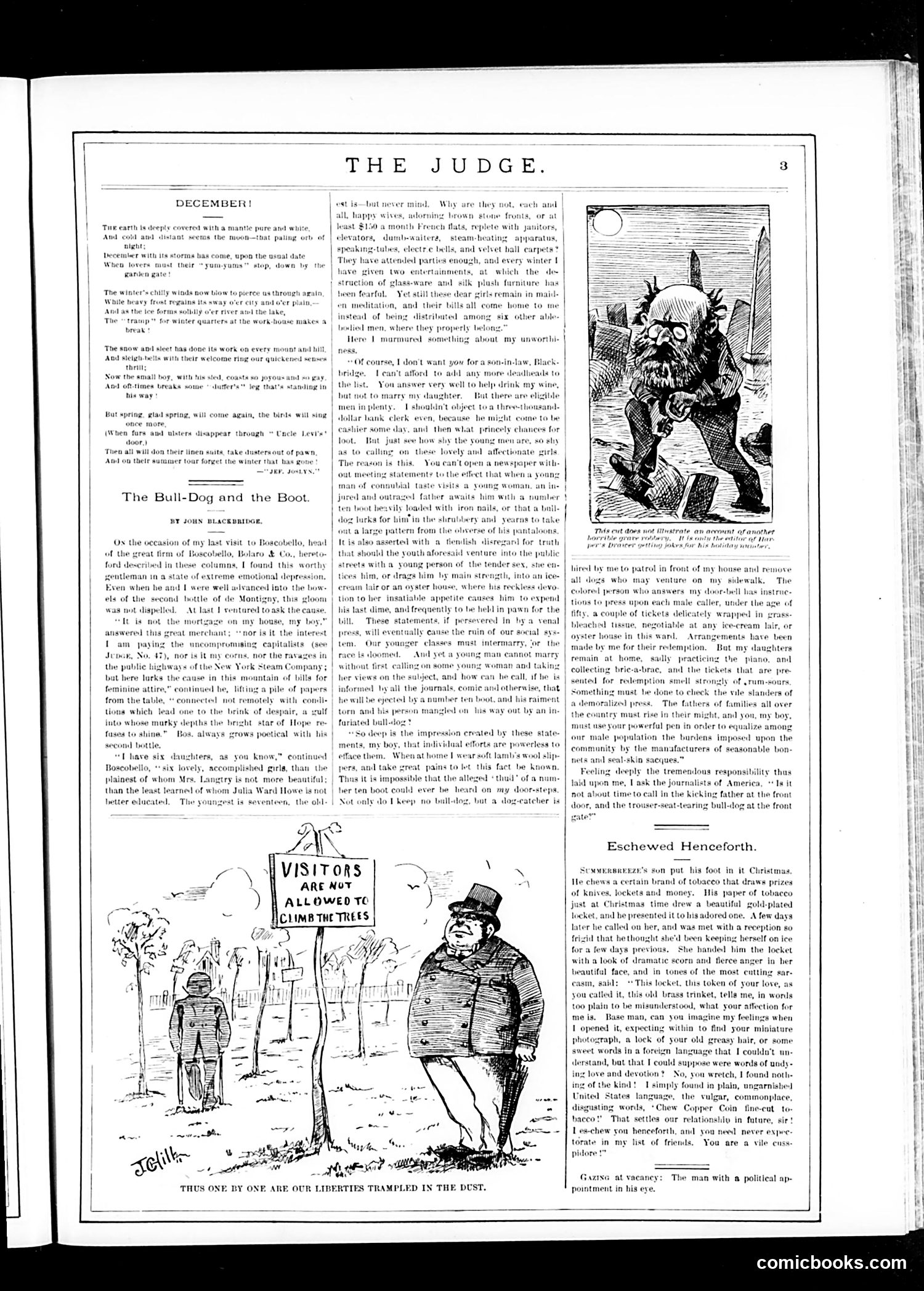 Judge — December 16, 1882 — page 3