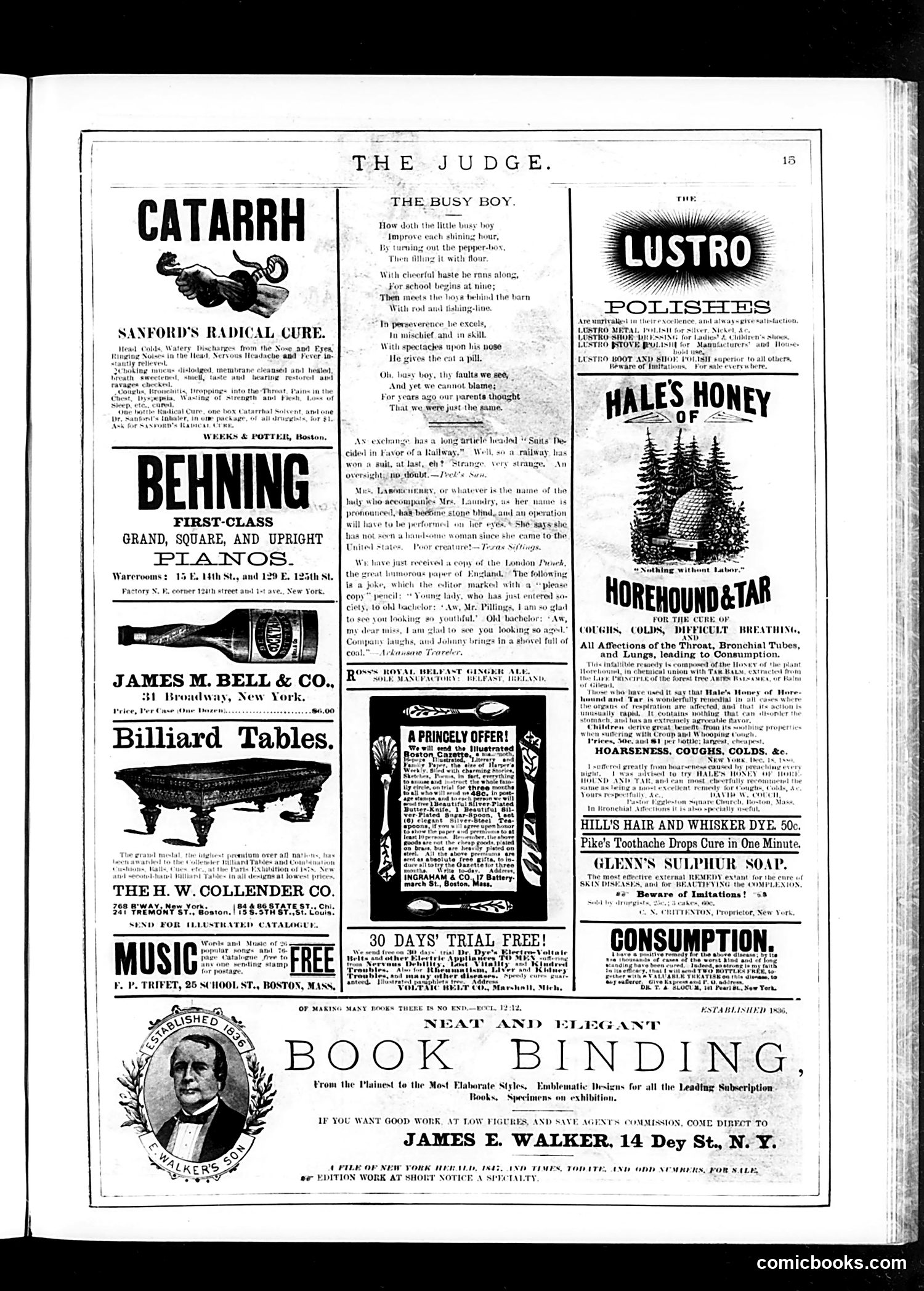 Judge — December 30, 1882 — page 15