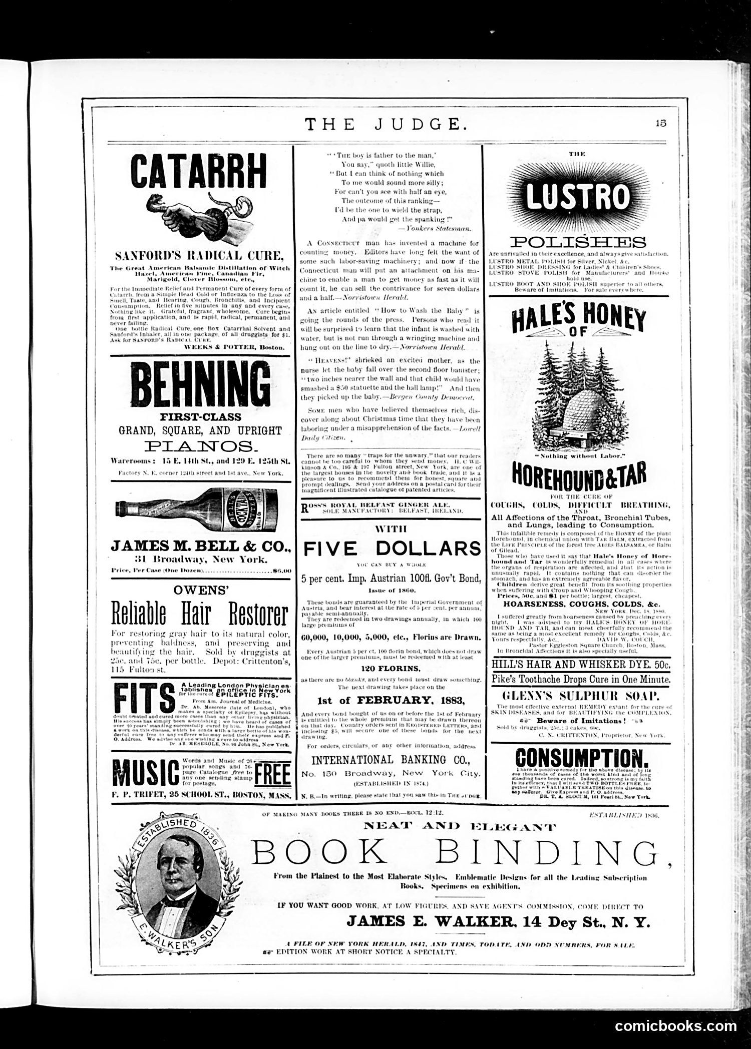 Judge — January 6, 1883 — page 15