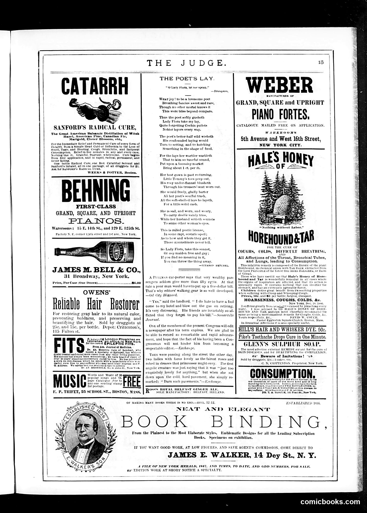 Judge — January 20, 1883 — page 15
