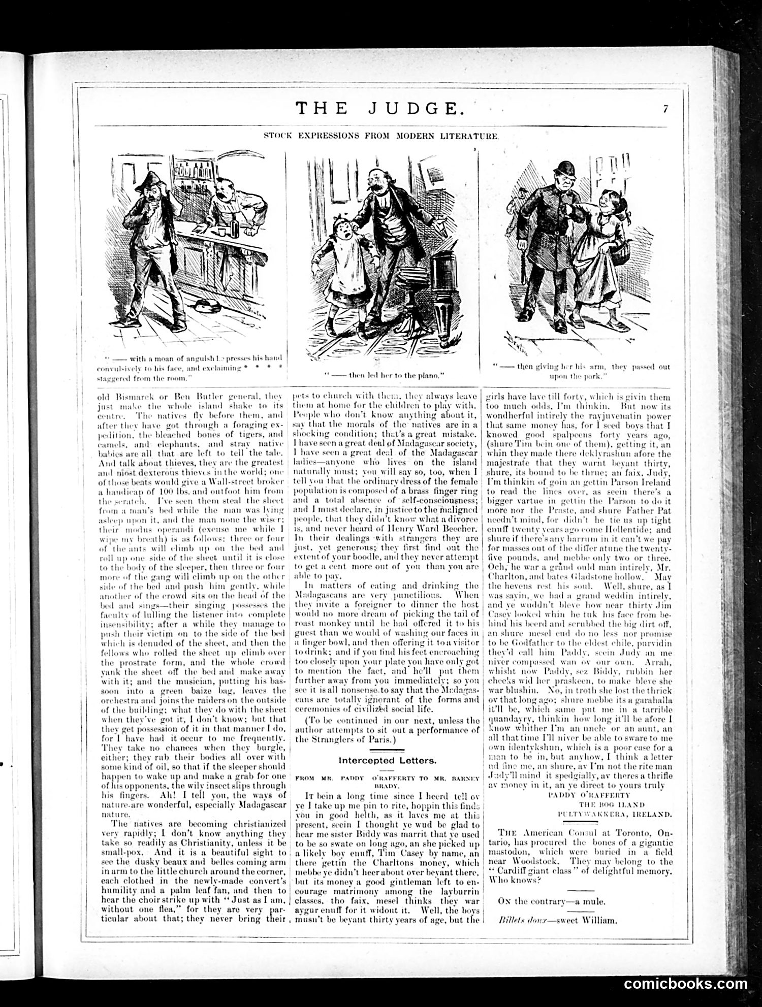 Judge — November 24, 1883 — page 7