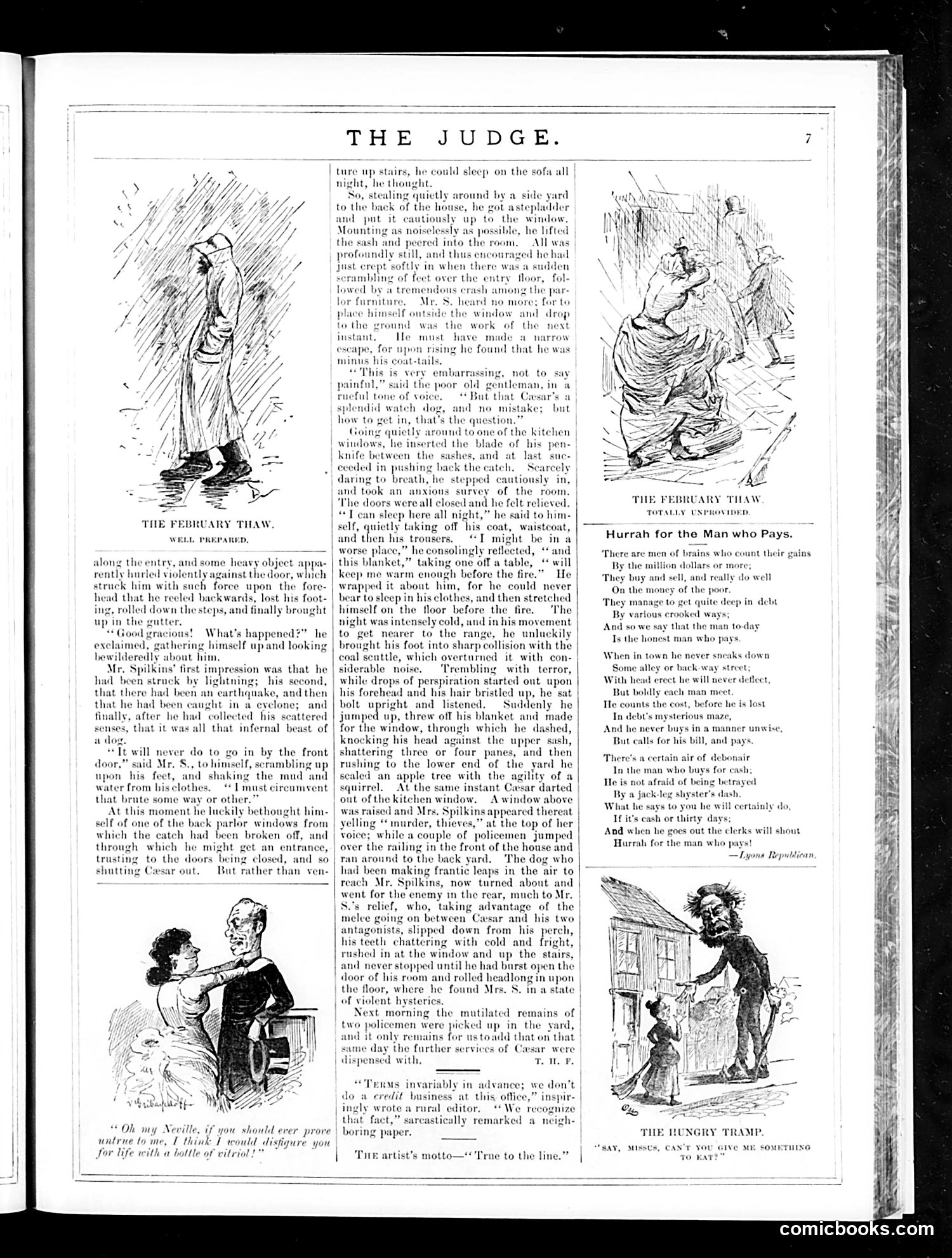 Judge — February 23, 1884 — page 7