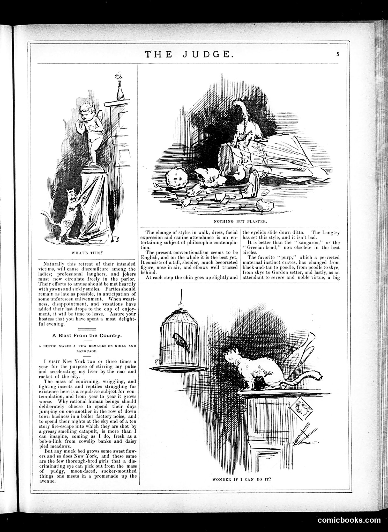 Judge — May 31, 1884 — page 5