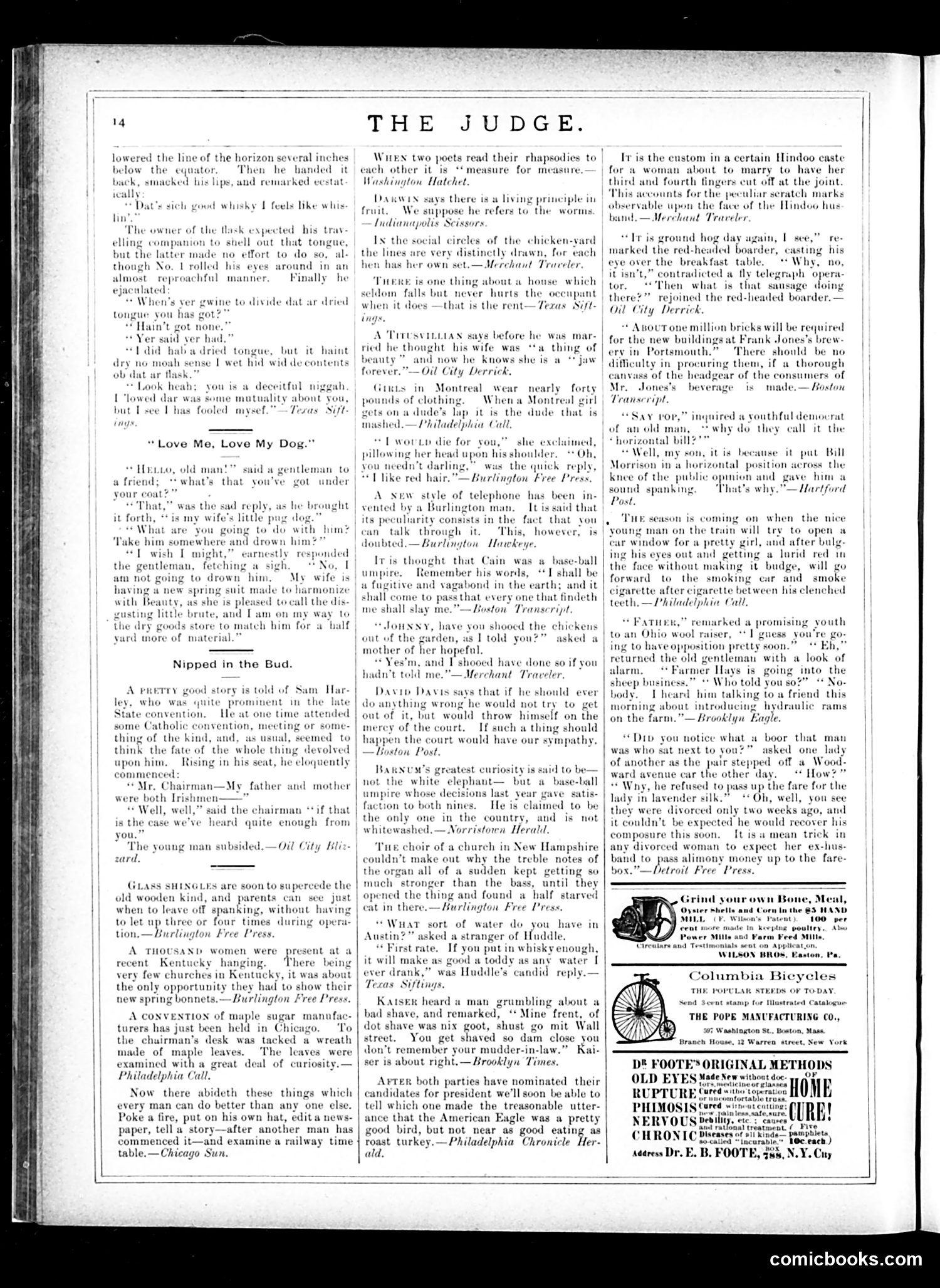 Judge — May 31, 1884 — page 14