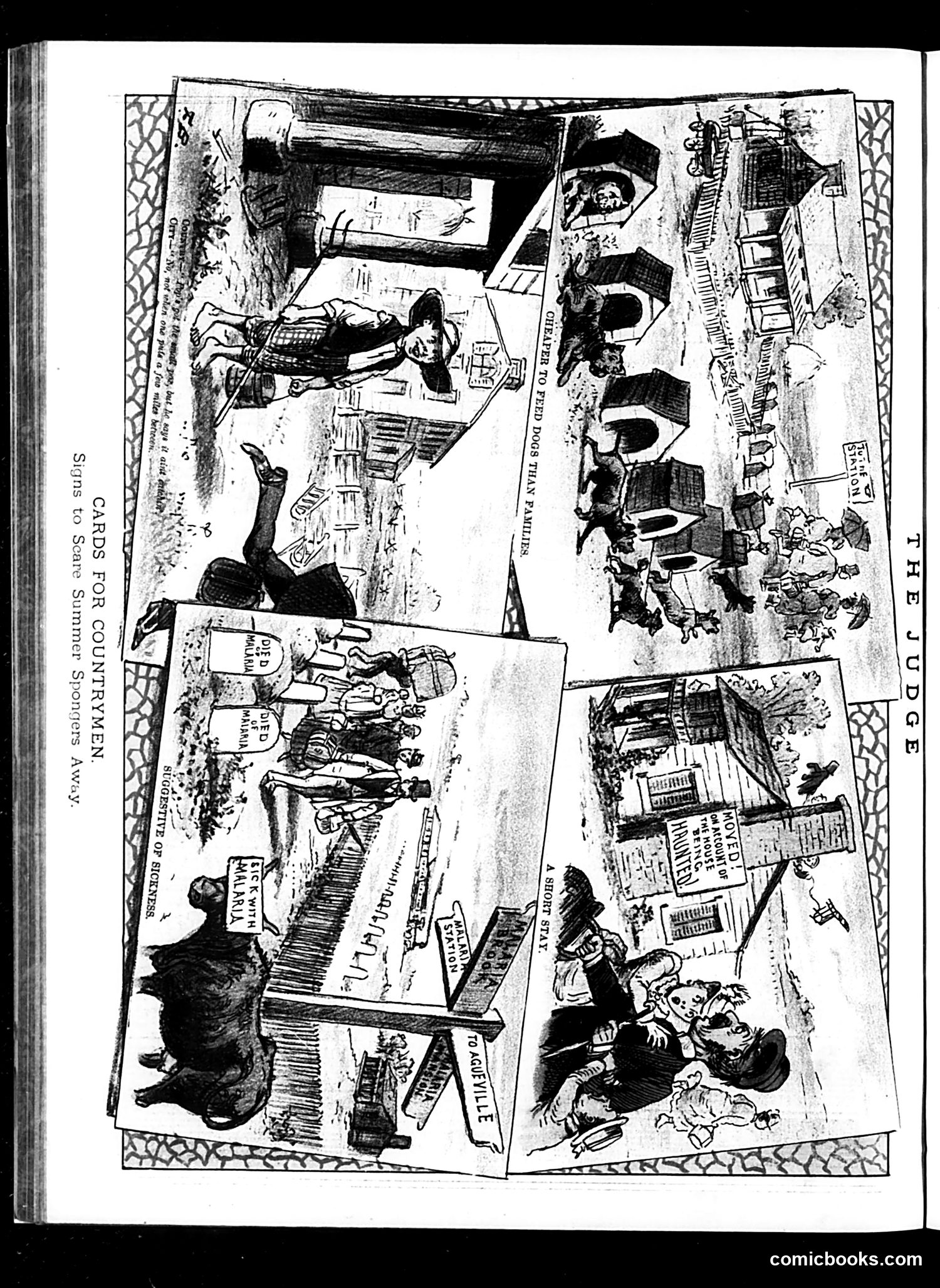 Judge — June 7, 1884 — page 16