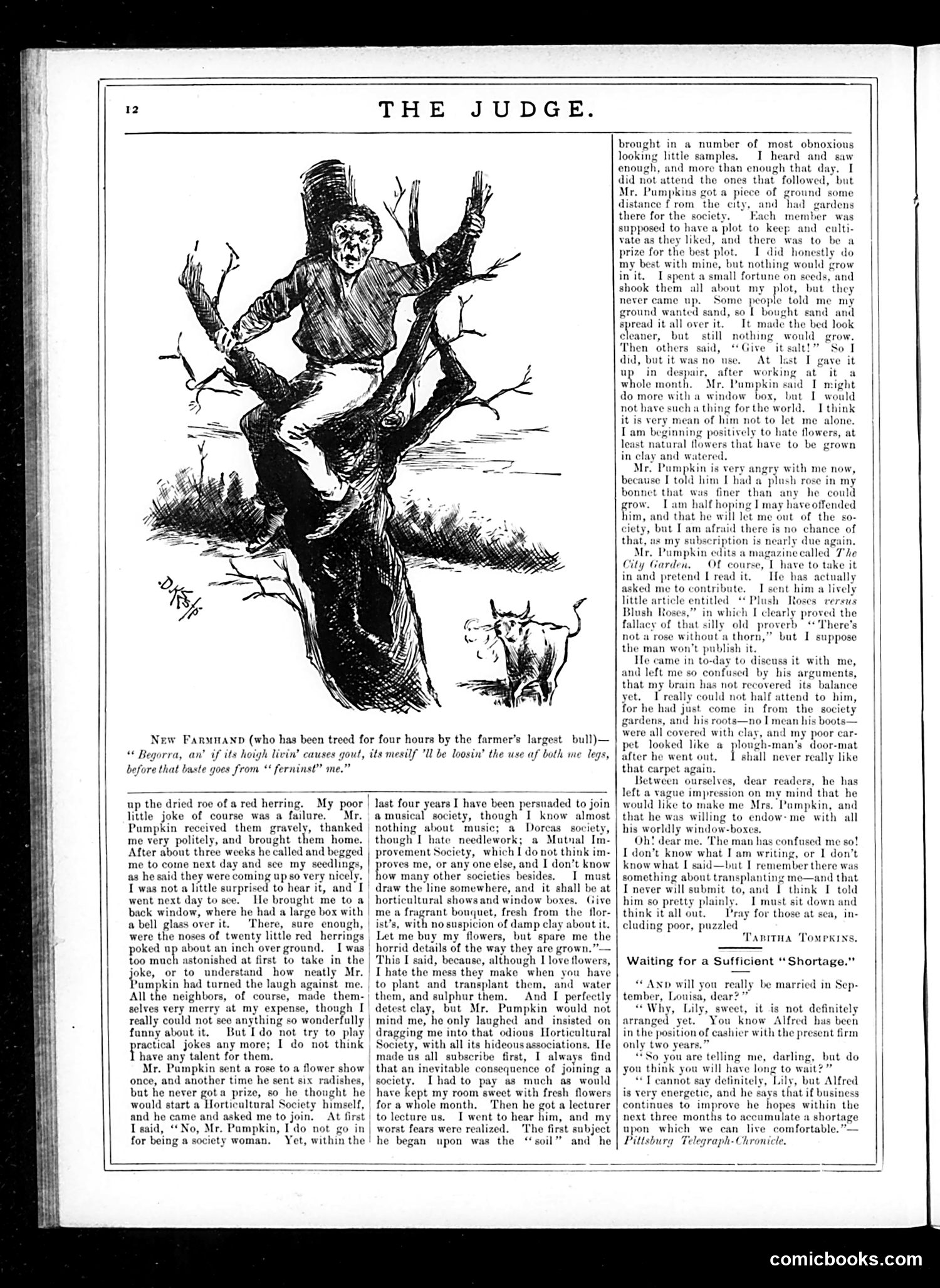 Judge — October 11, 1884 — page 12