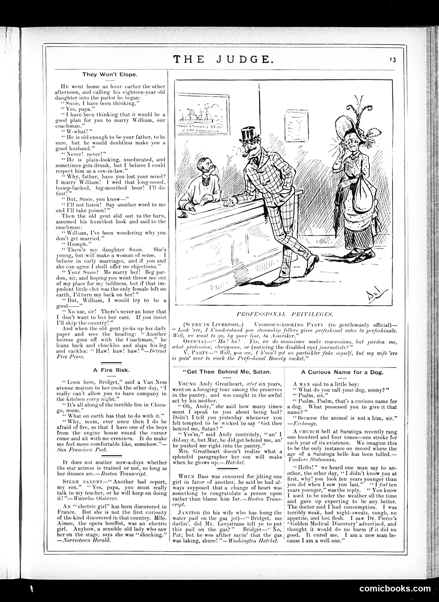 Judge — November 15, 1884 — page 13