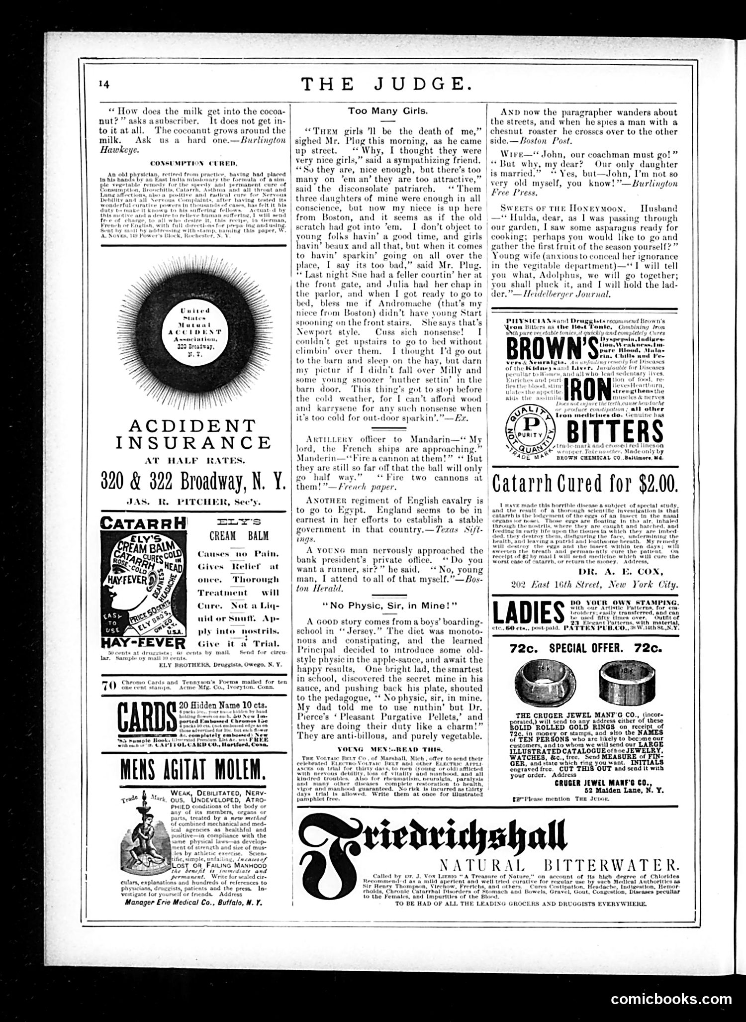 Judge — November 15, 1884 — page 14