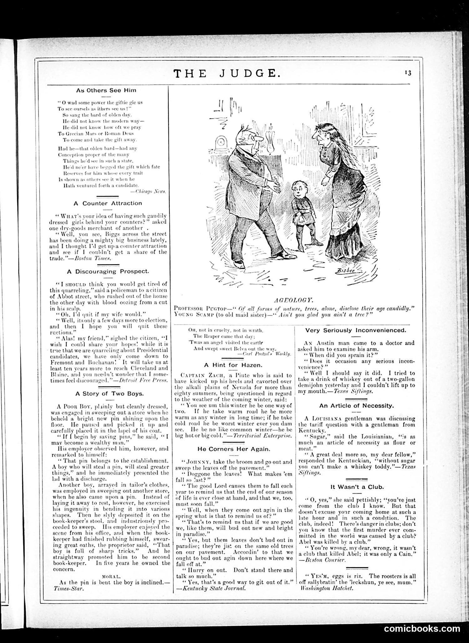 Judge — December 13, 1884 — page 13