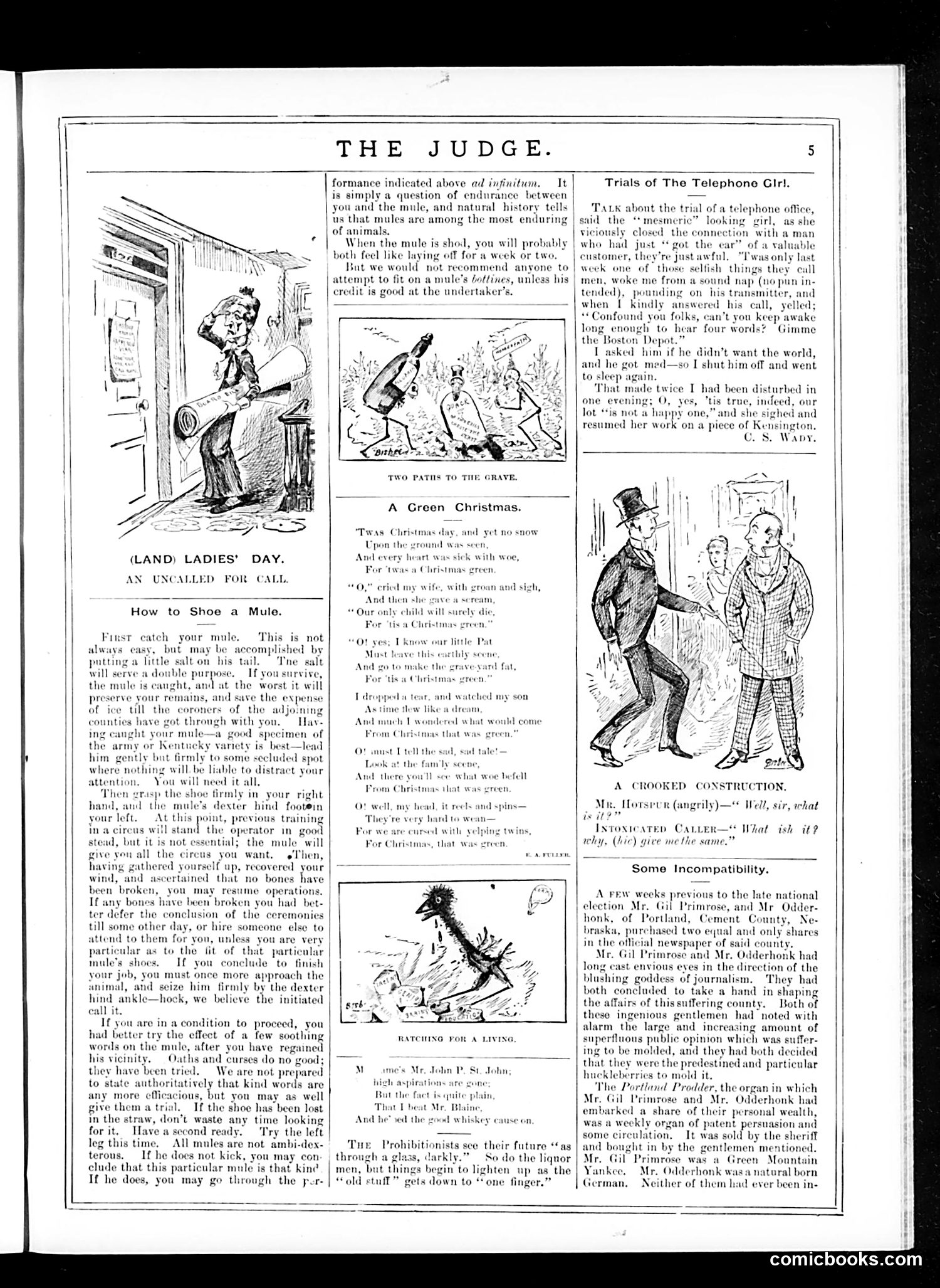 Judge — January 3, 1885 — page 5
