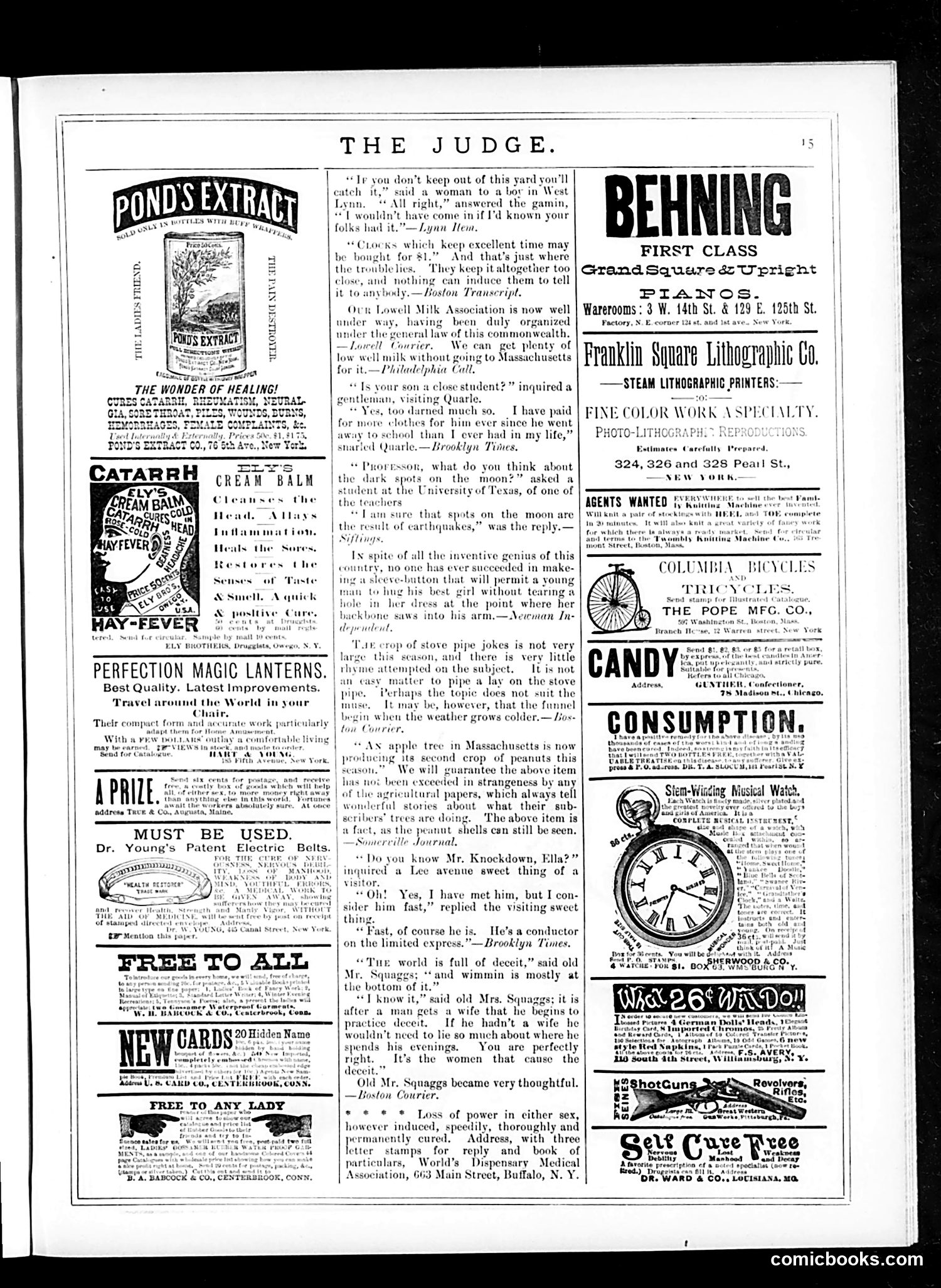 Judge — January 3, 1885 — page 15