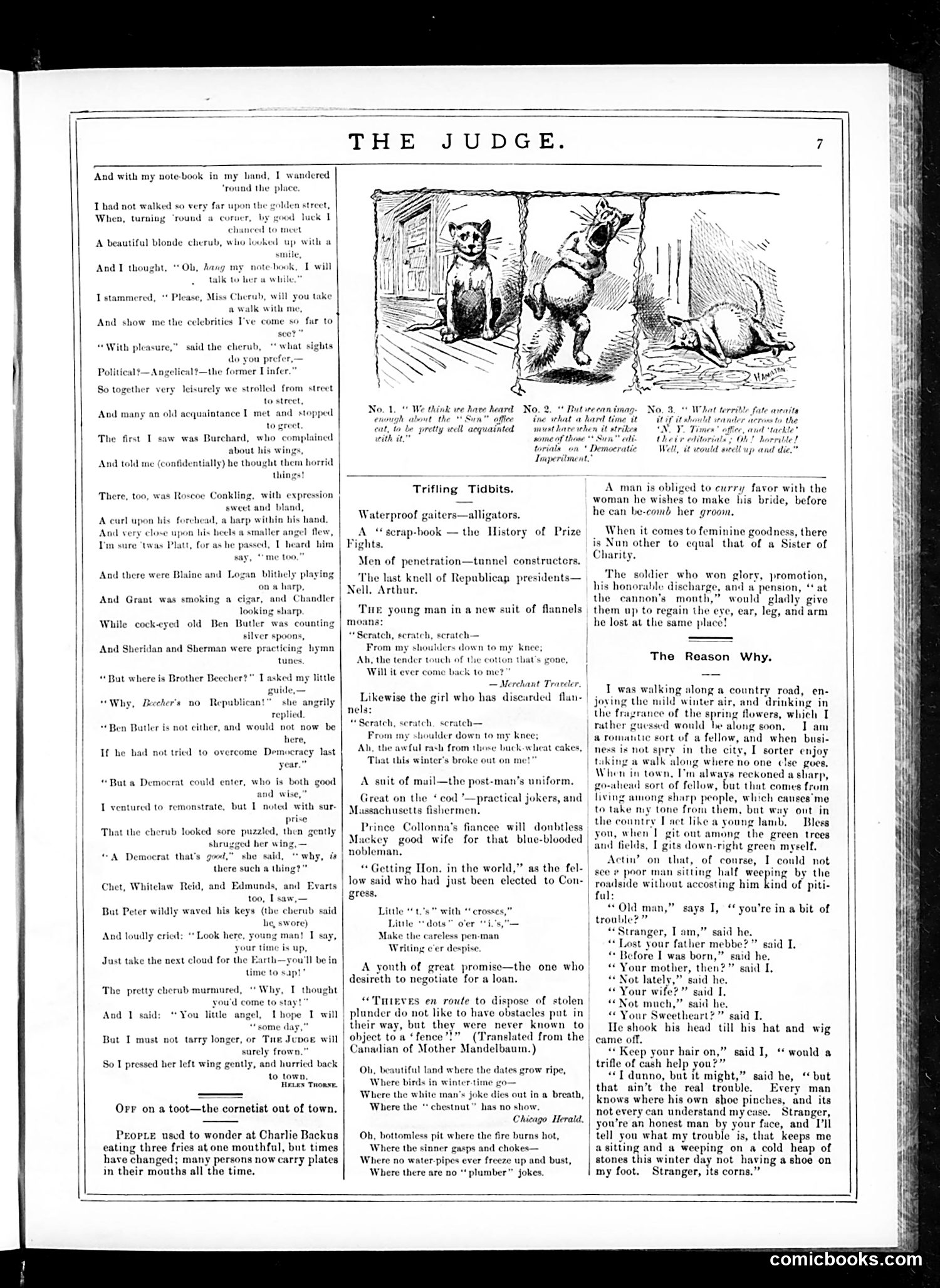 Judge — January 24, 1885 — page 7