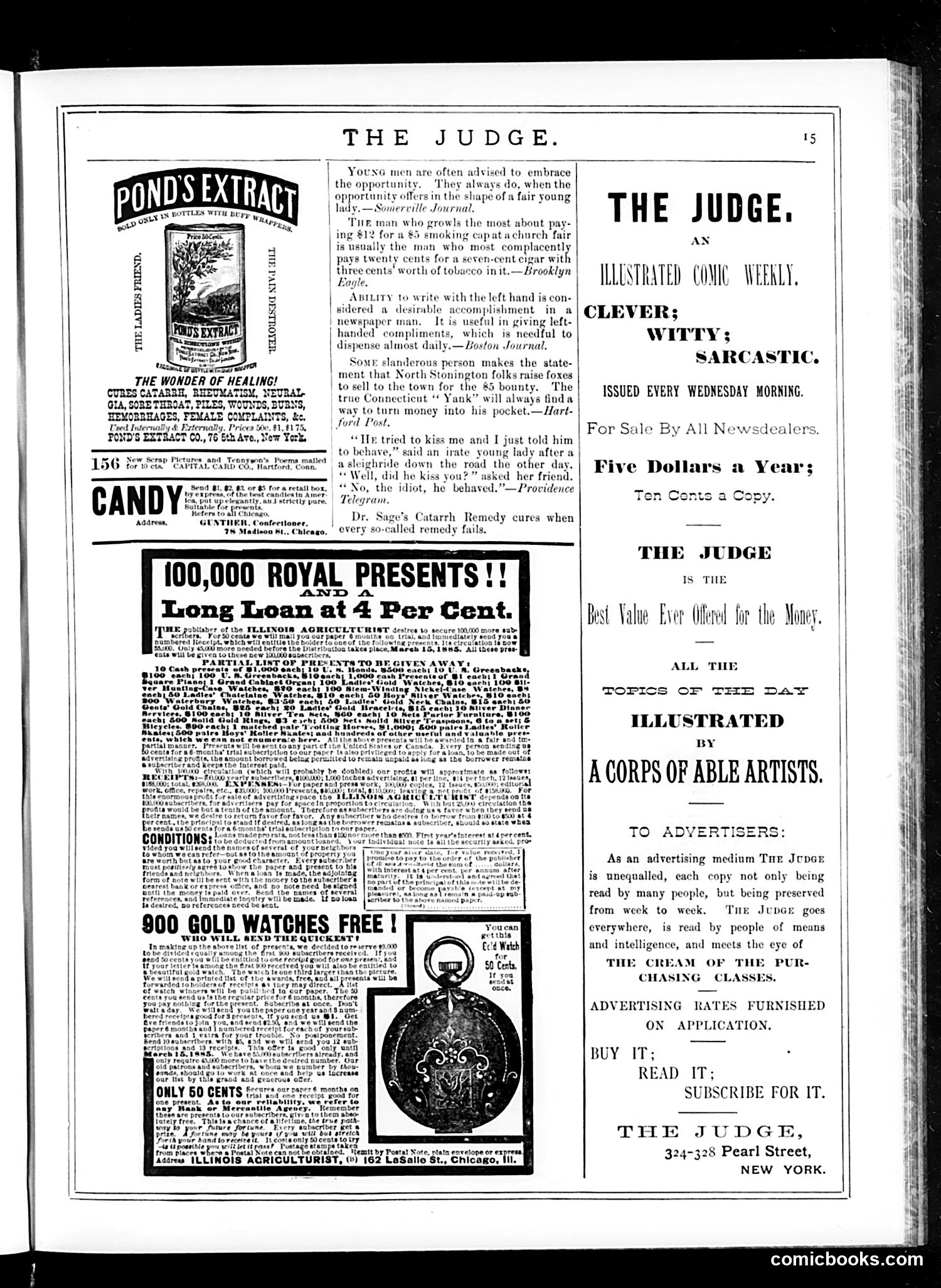 Judge — January 24, 1885 — page 15