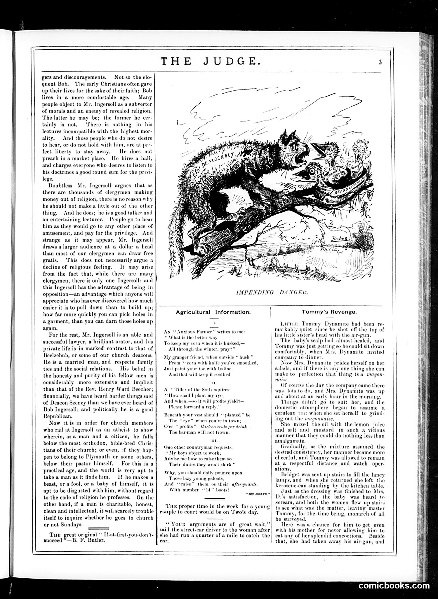 Judge — January 31, 1885 — page 3
