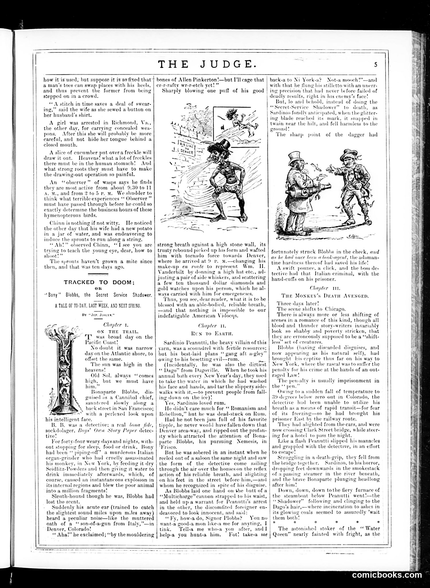 Judge — January 31, 1885 — page 5