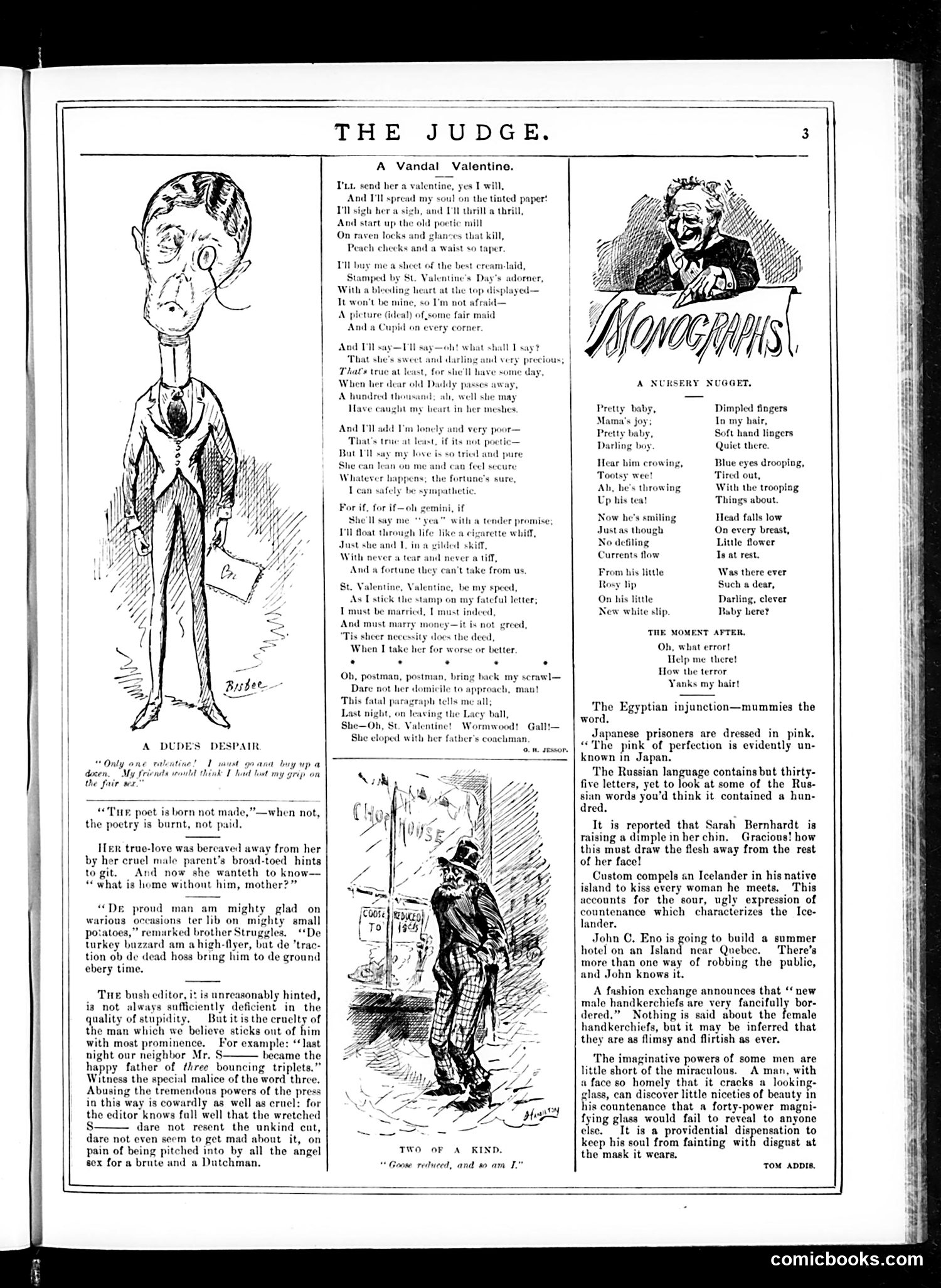 Judge — February 14, 1885 — page 3