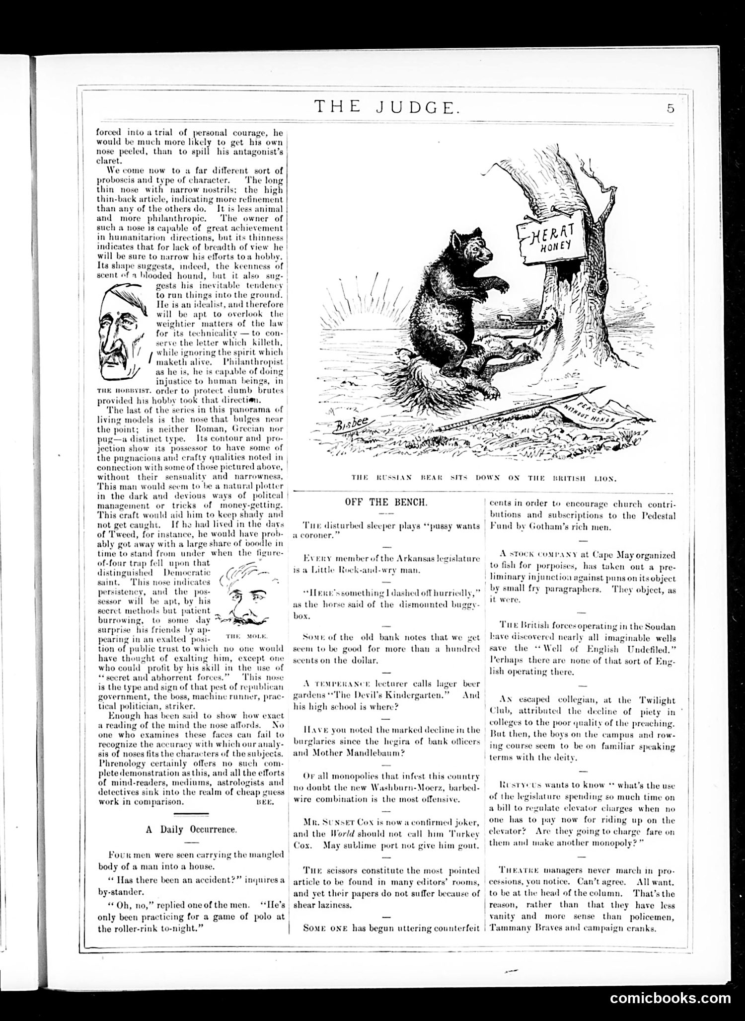 Judge — April 11, 1885 — page 5