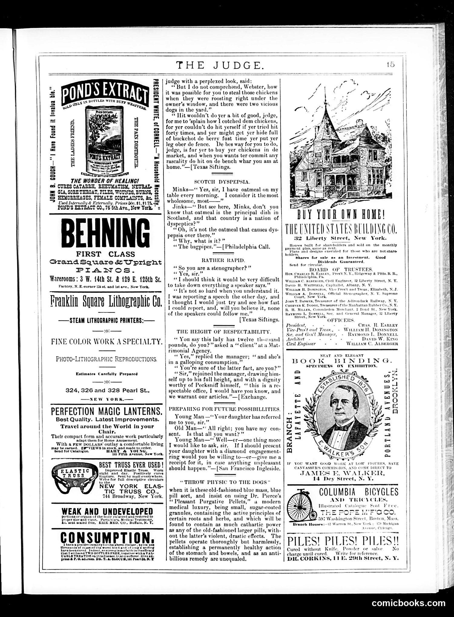 Judge — May 9, 1885 — page 15