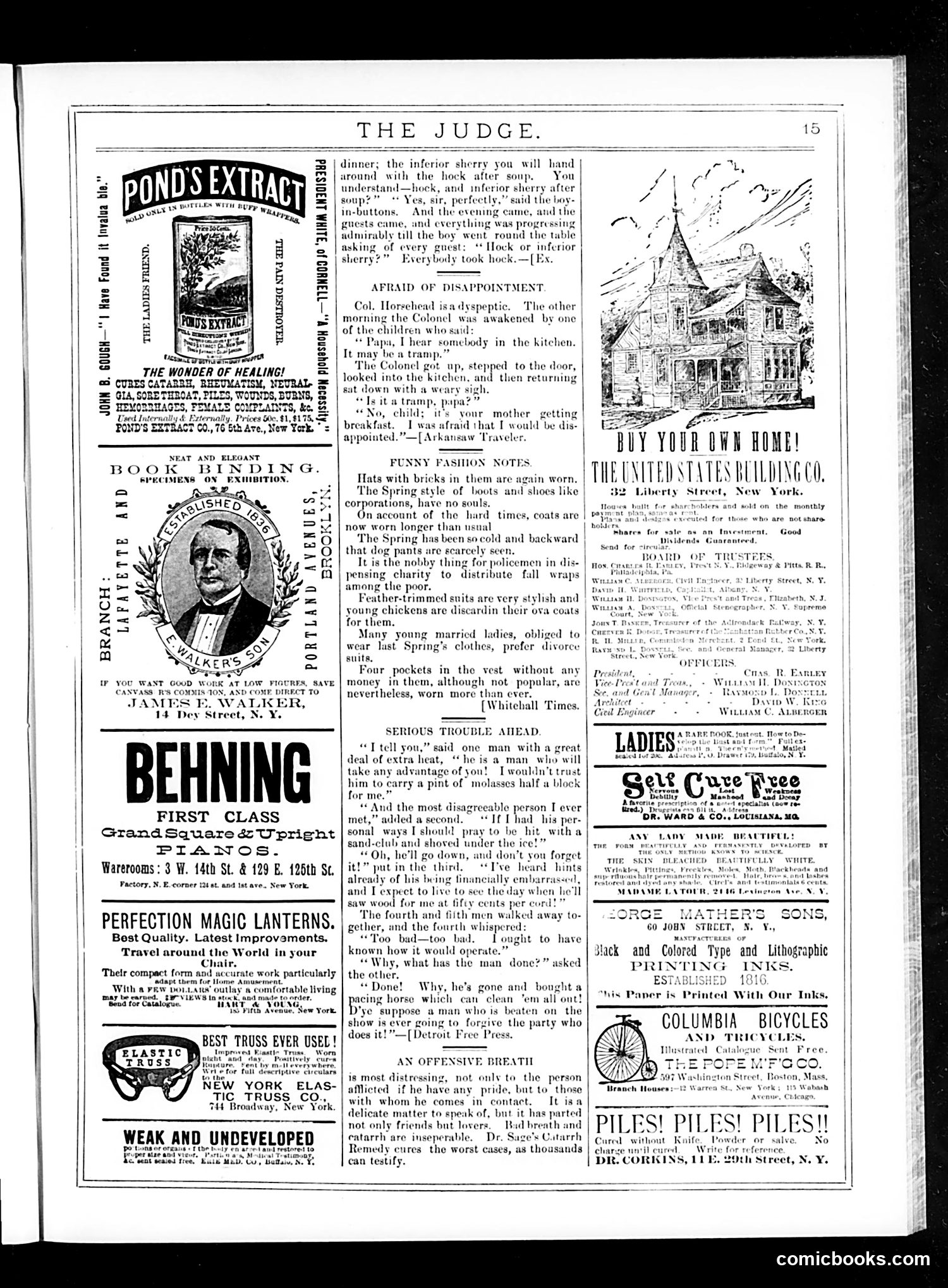 Judge — May 23, 1885 — page 15