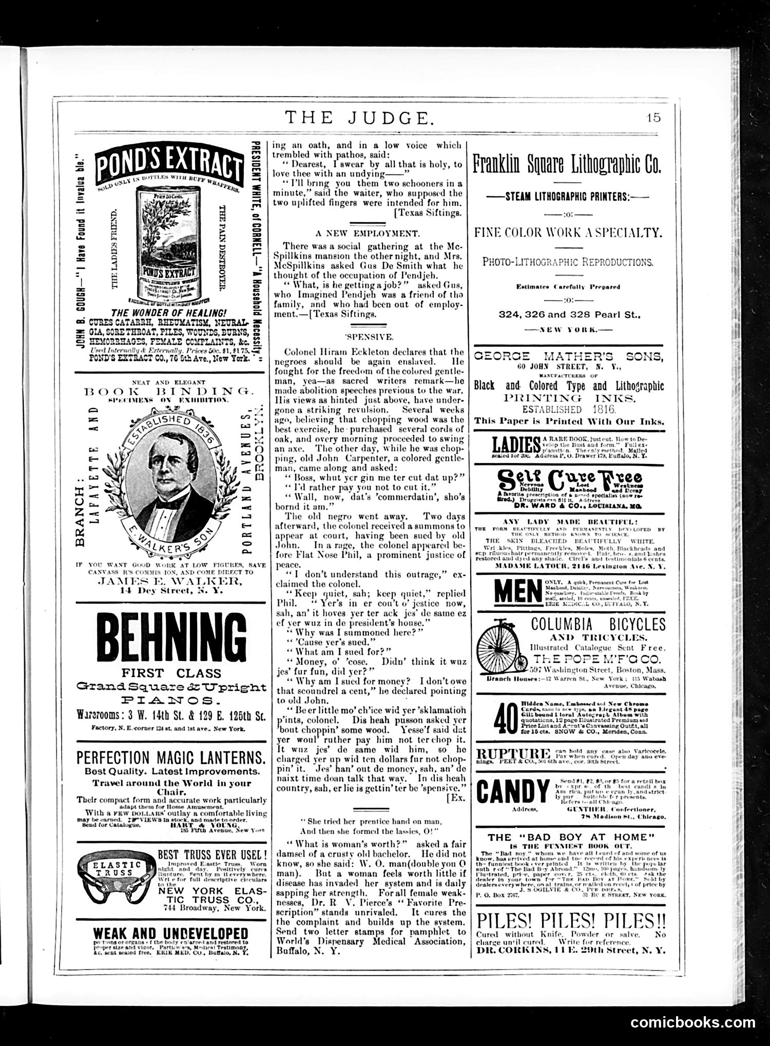 Judge — May 30, 1885 — page 15