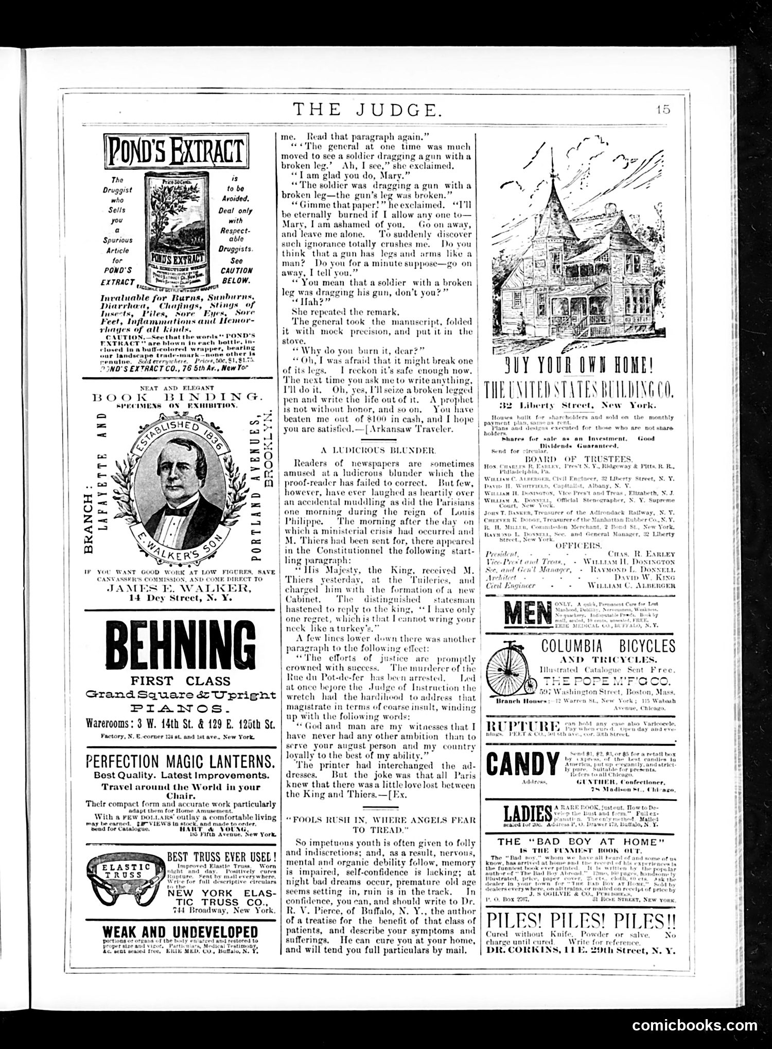 Judge — June 6, 1885 — page 15
